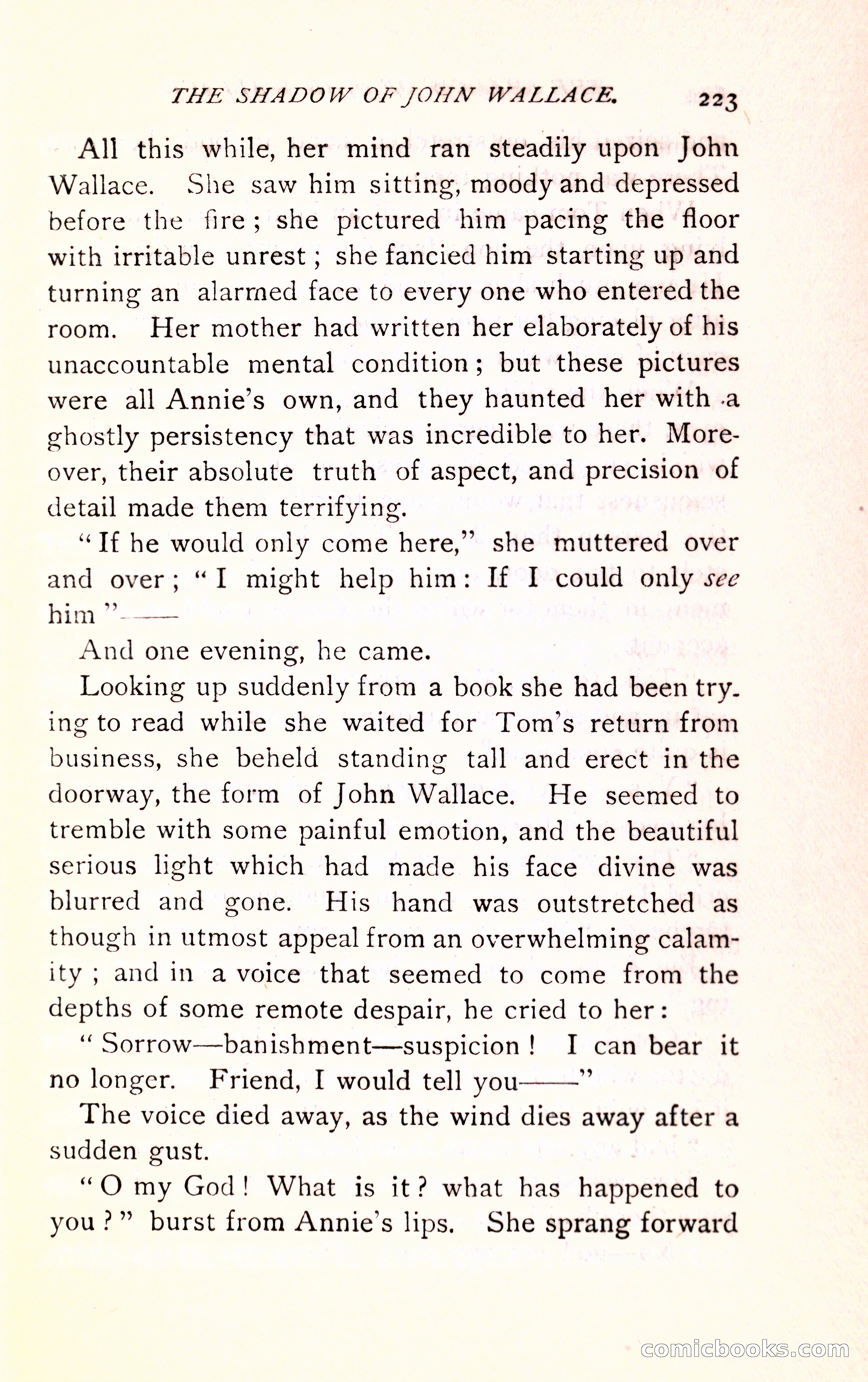 The Shadow of John Wallace — page 225 of 400