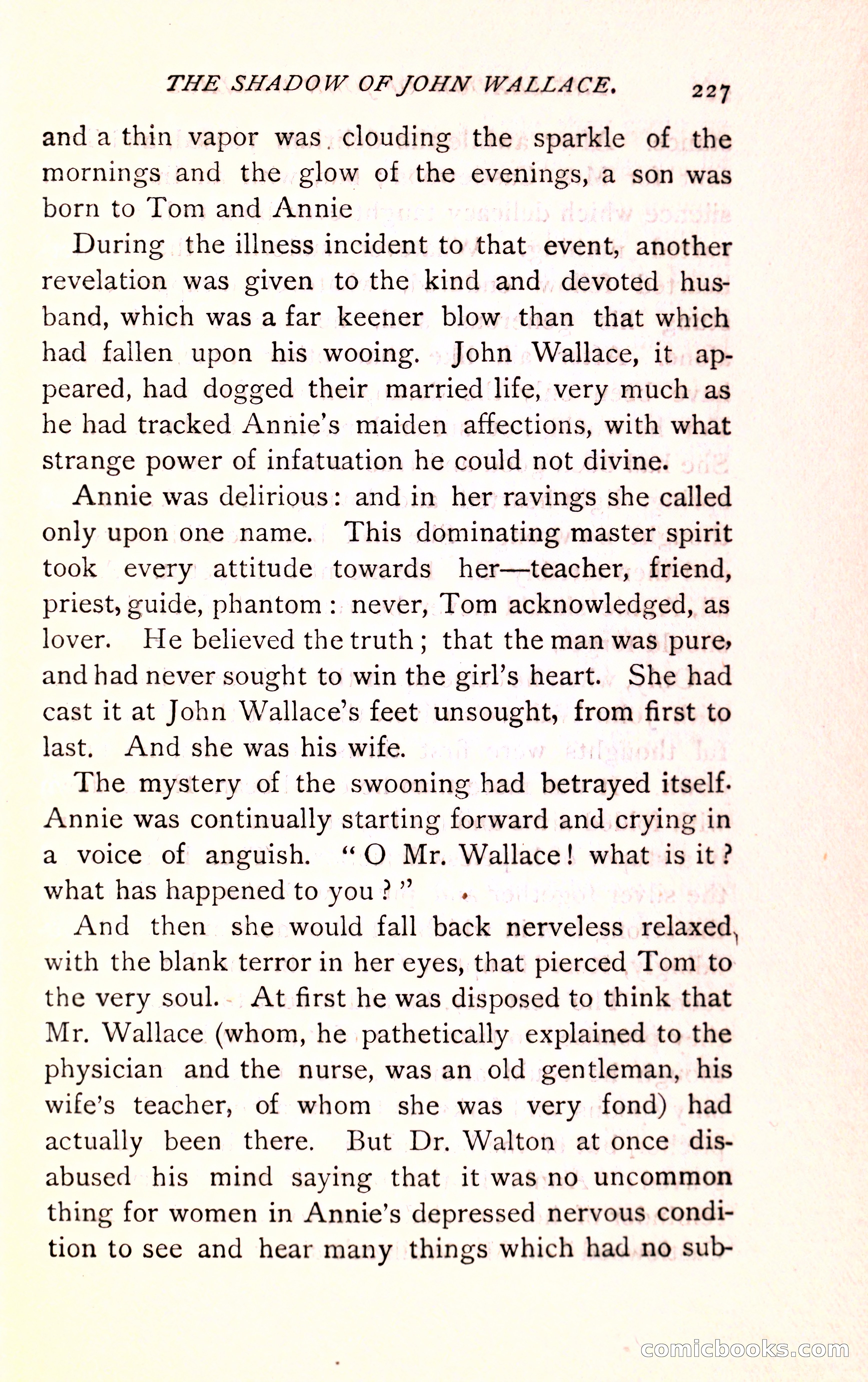 The Shadow of John Wallace — page 229 of 400
