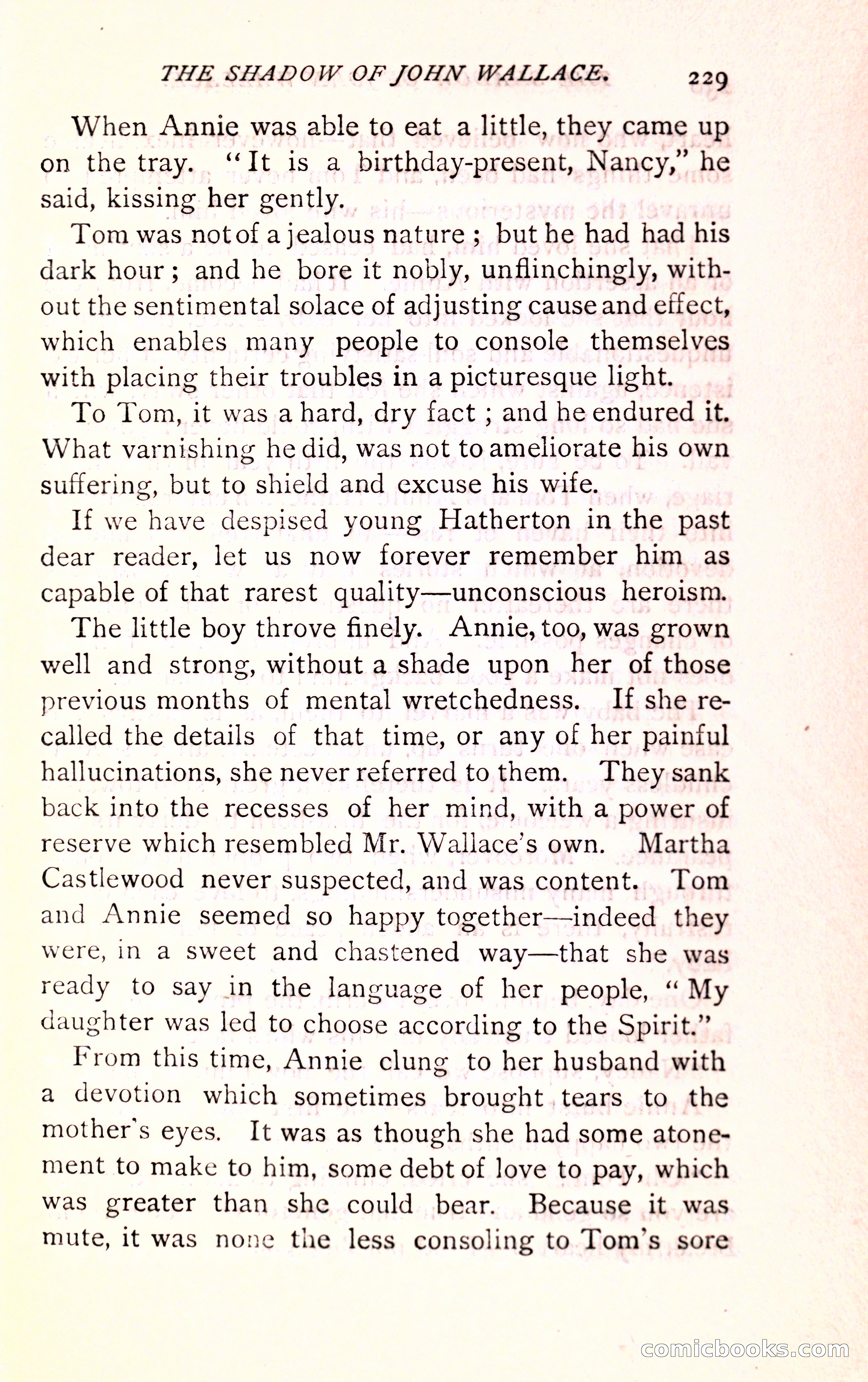 The Shadow of John Wallace — page 231 of 400