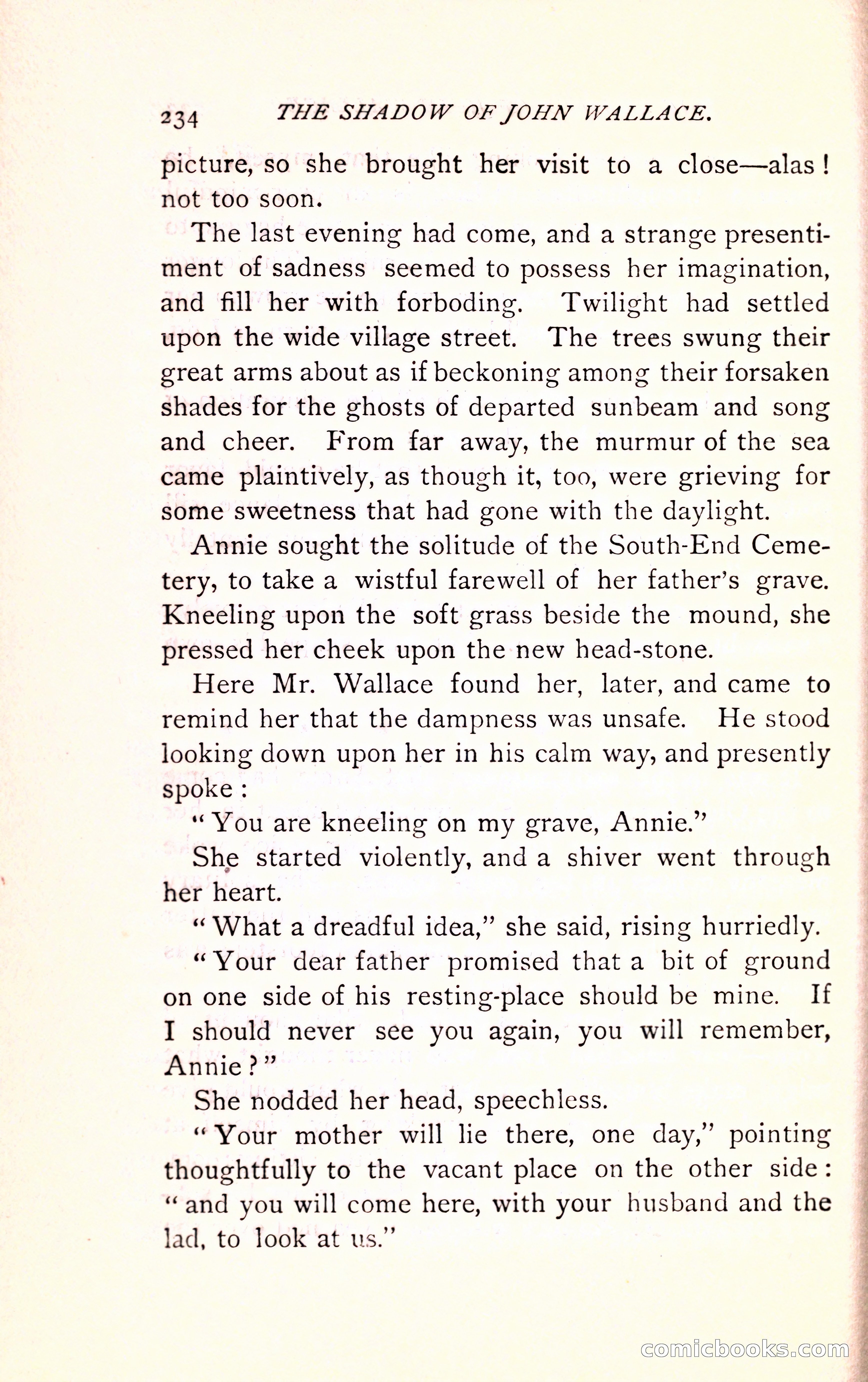 The Shadow of John Wallace — page 236 of 400