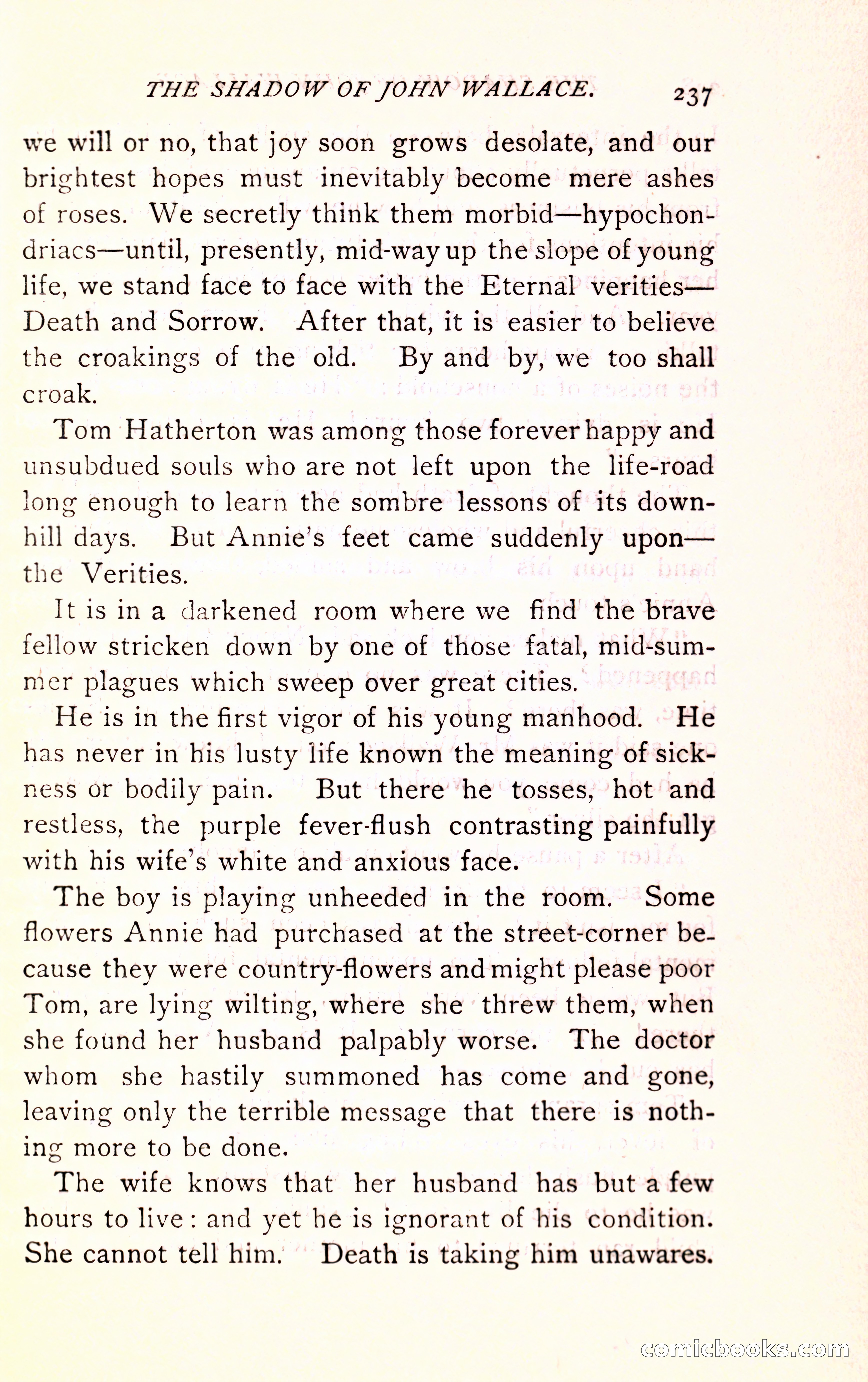 The Shadow of John Wallace — page 239 of 400