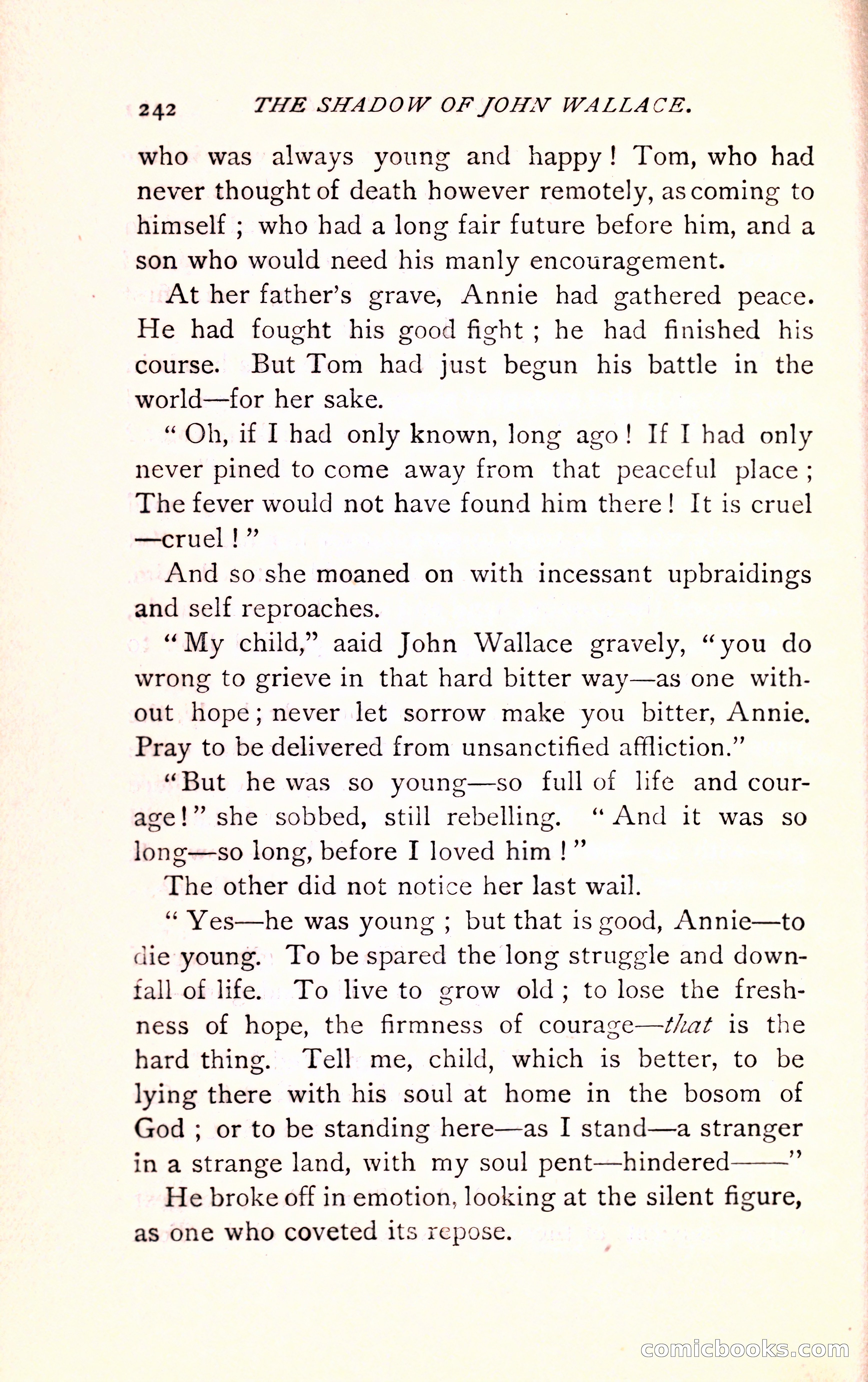 The Shadow of John Wallace — page 244 of 400