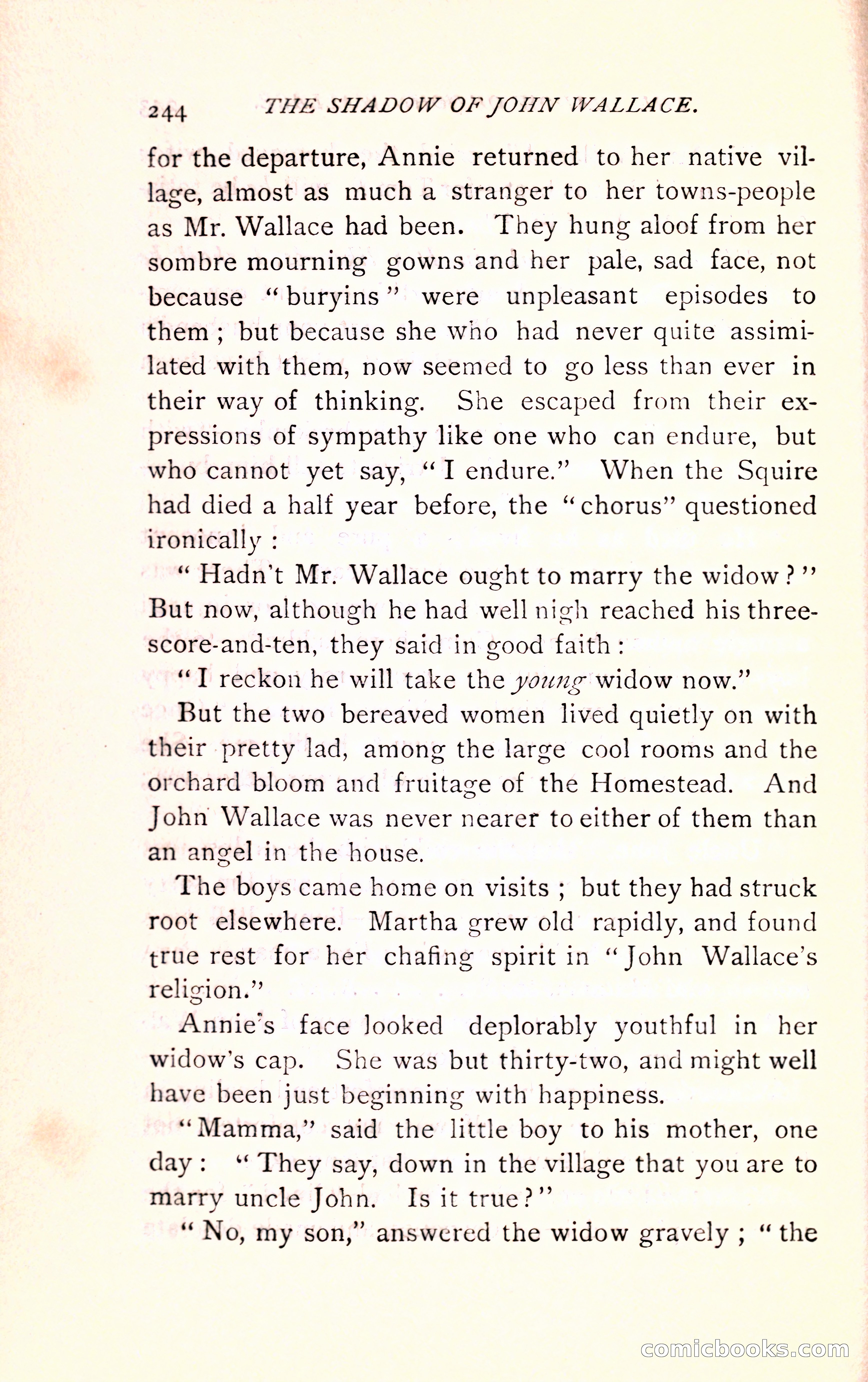 The Shadow of John Wallace — page 246 of 400