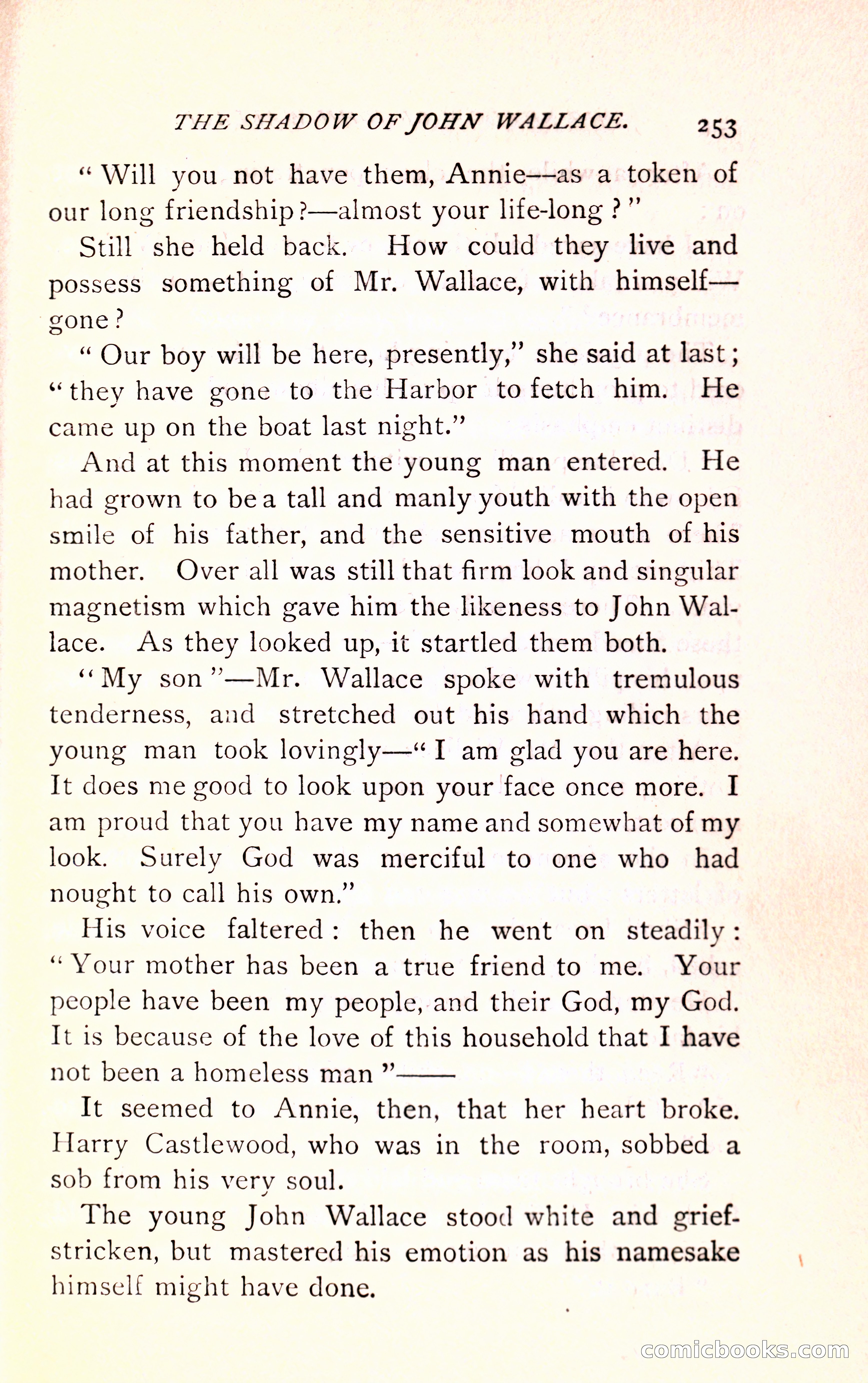 The Shadow of John Wallace — page 255 of 400