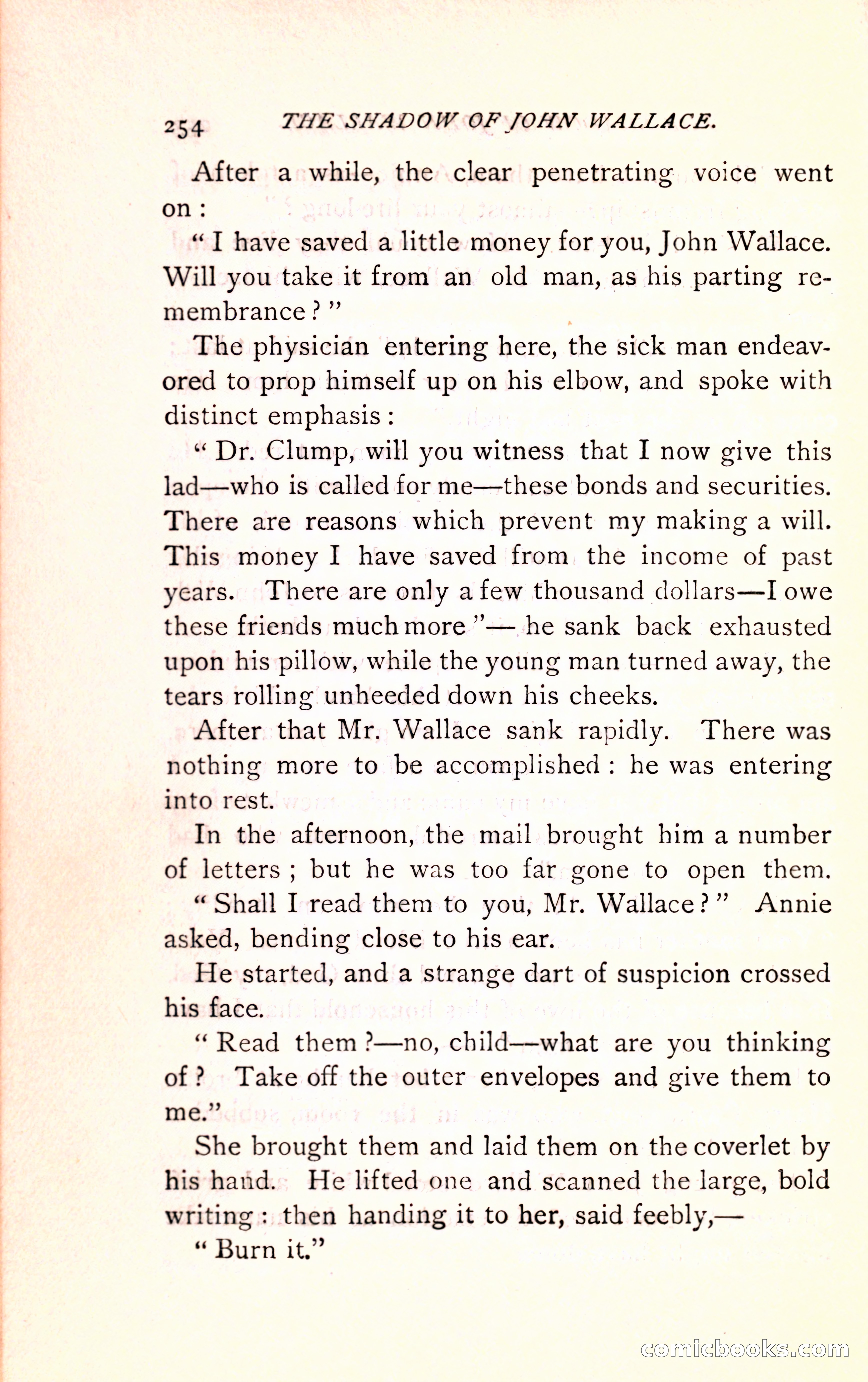 The Shadow of John Wallace — page 256 of 400