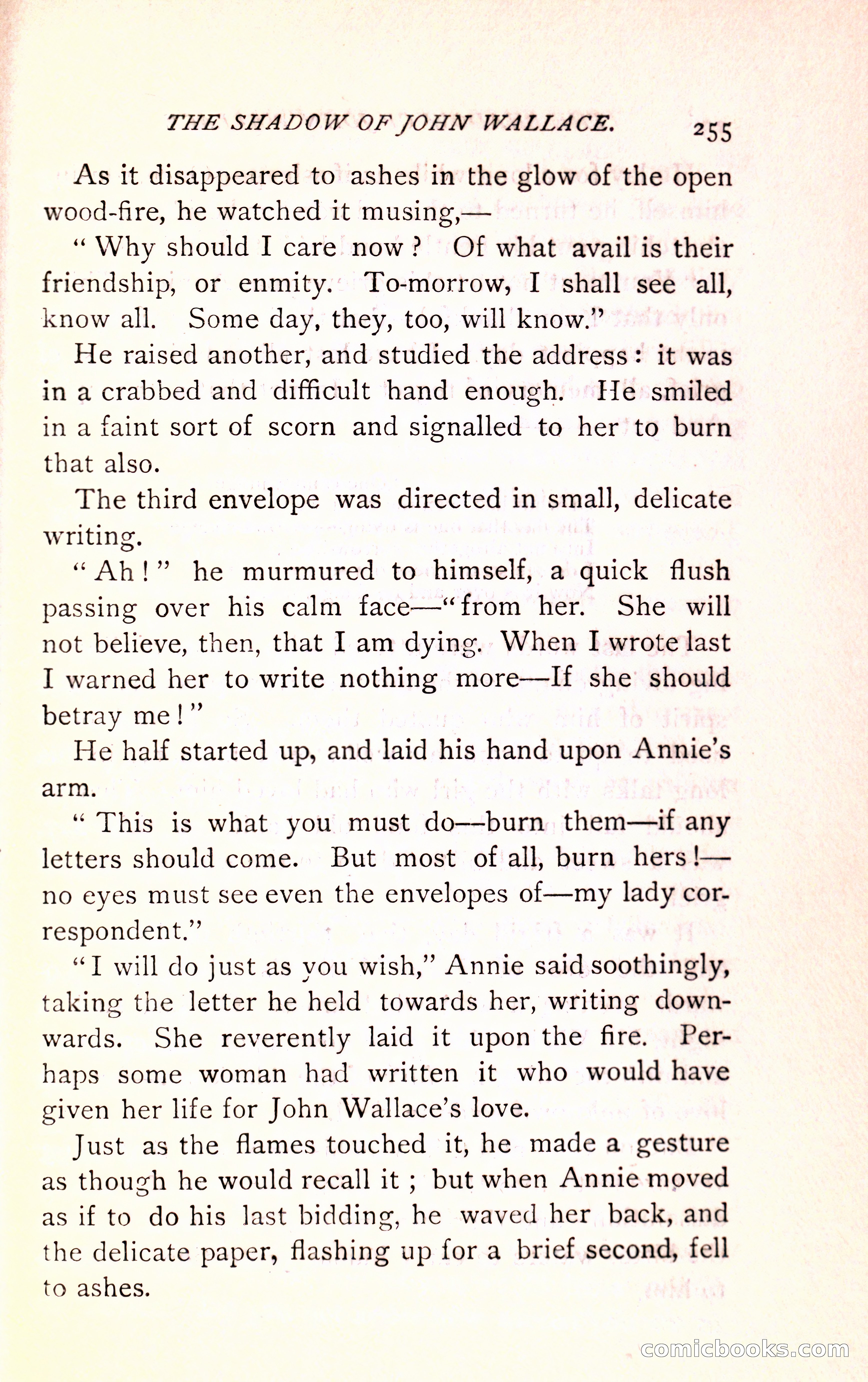 The Shadow of John Wallace — page 257 of 400