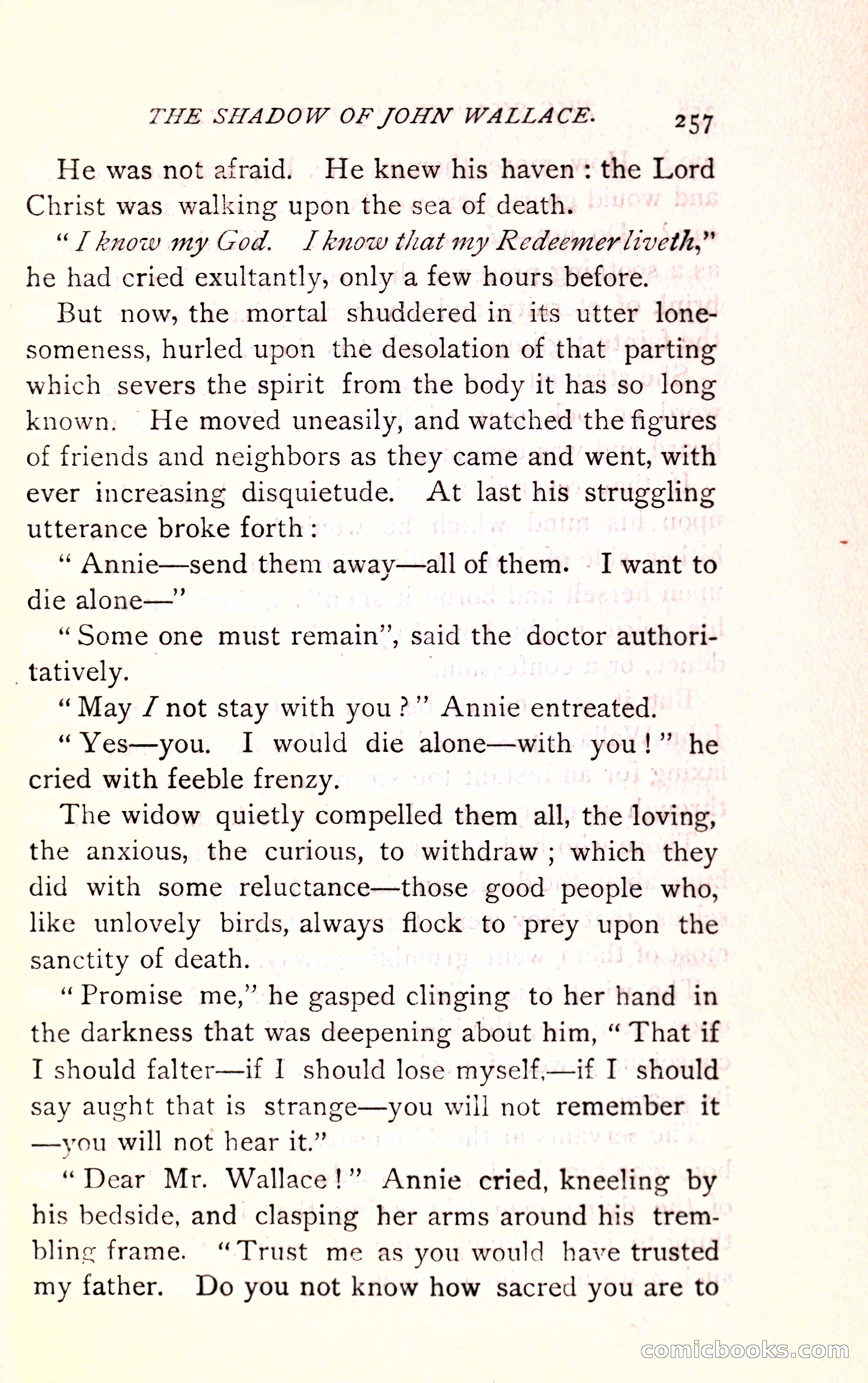 The Shadow of John Wallace — page 259 of 400