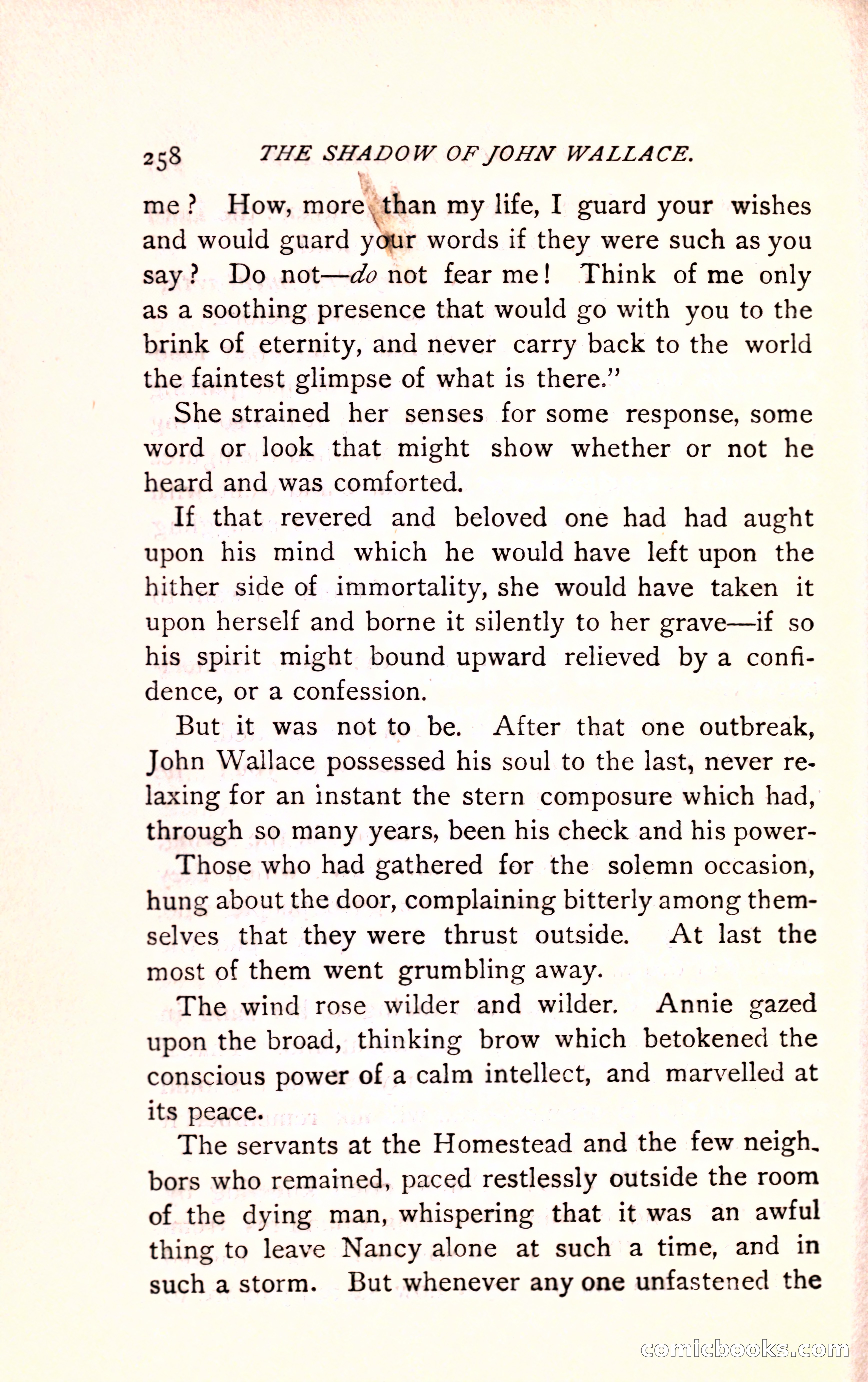 The Shadow of John Wallace — page 260 of 400