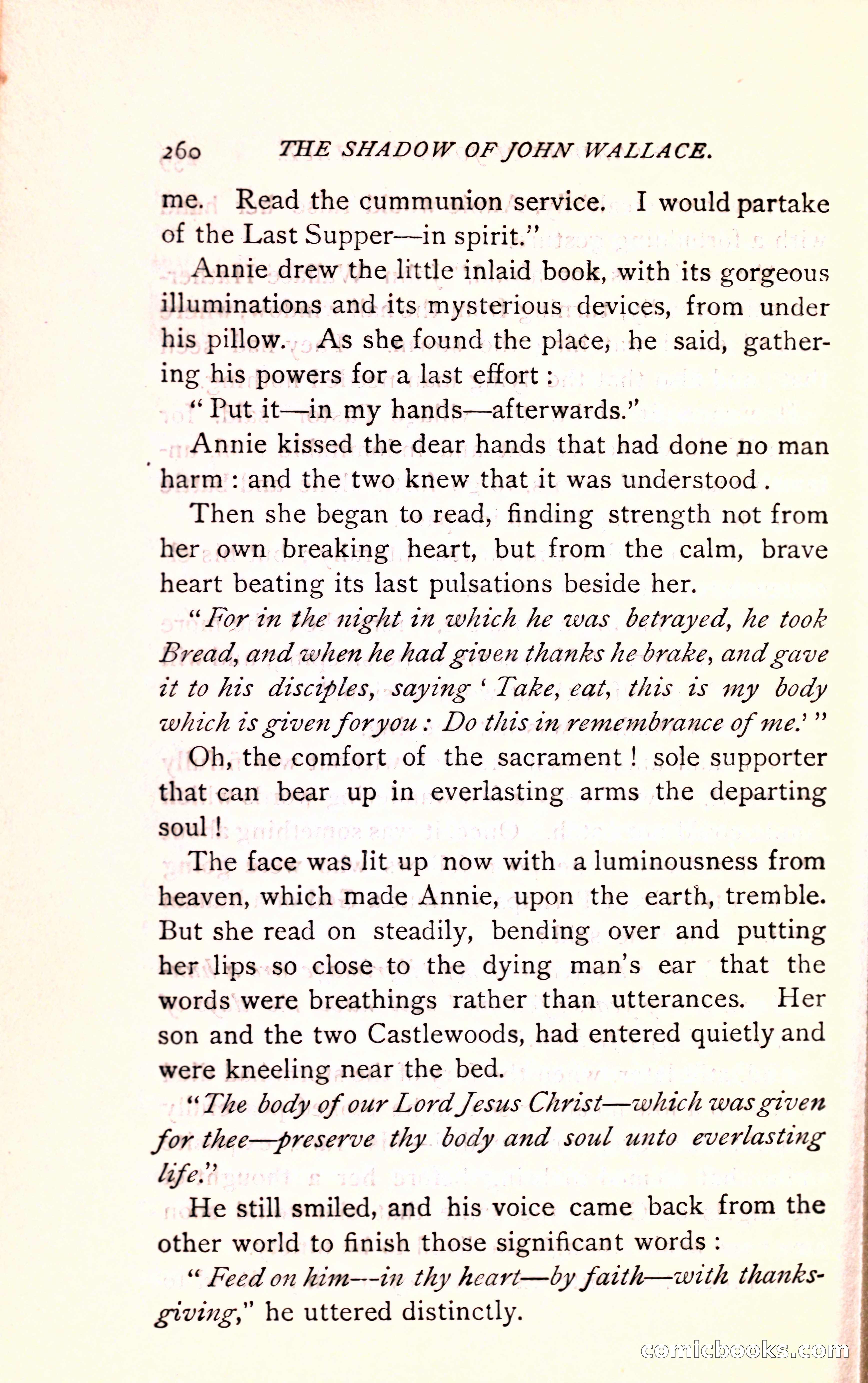The Shadow of John Wallace — page 262 of 400