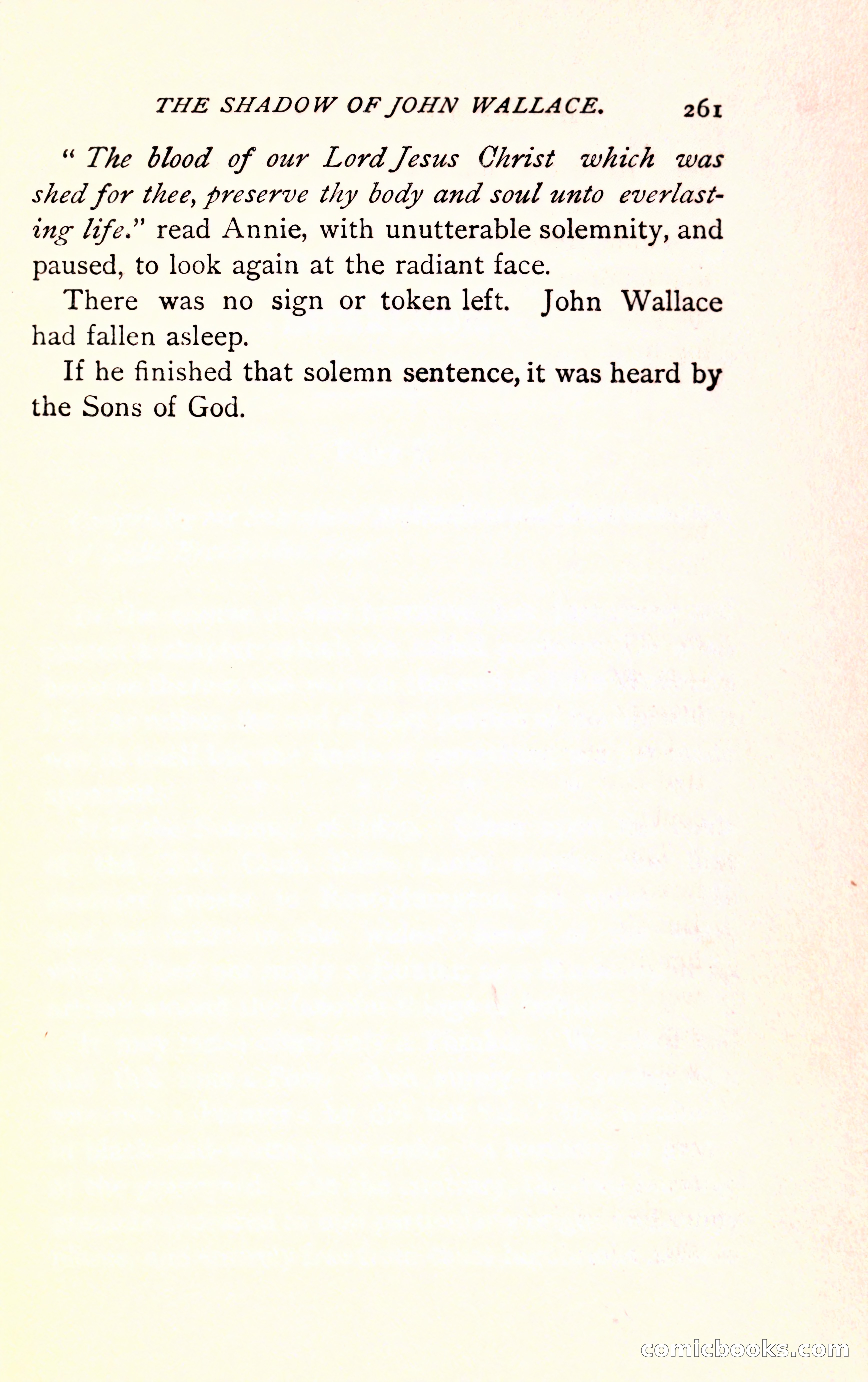 The Shadow of John Wallace — page 263 of 400