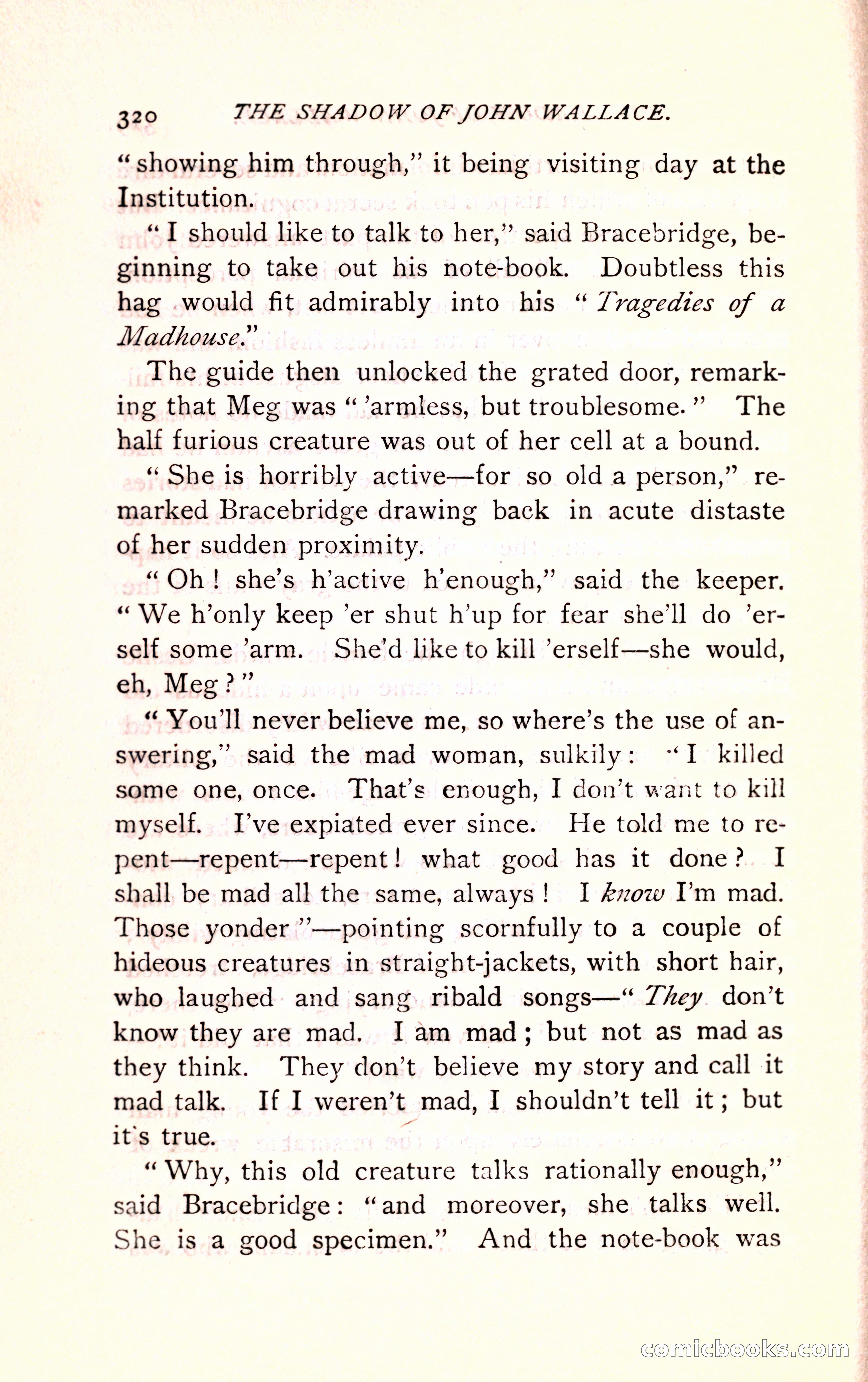 The Shadow of John Wallace — page 322 of 400