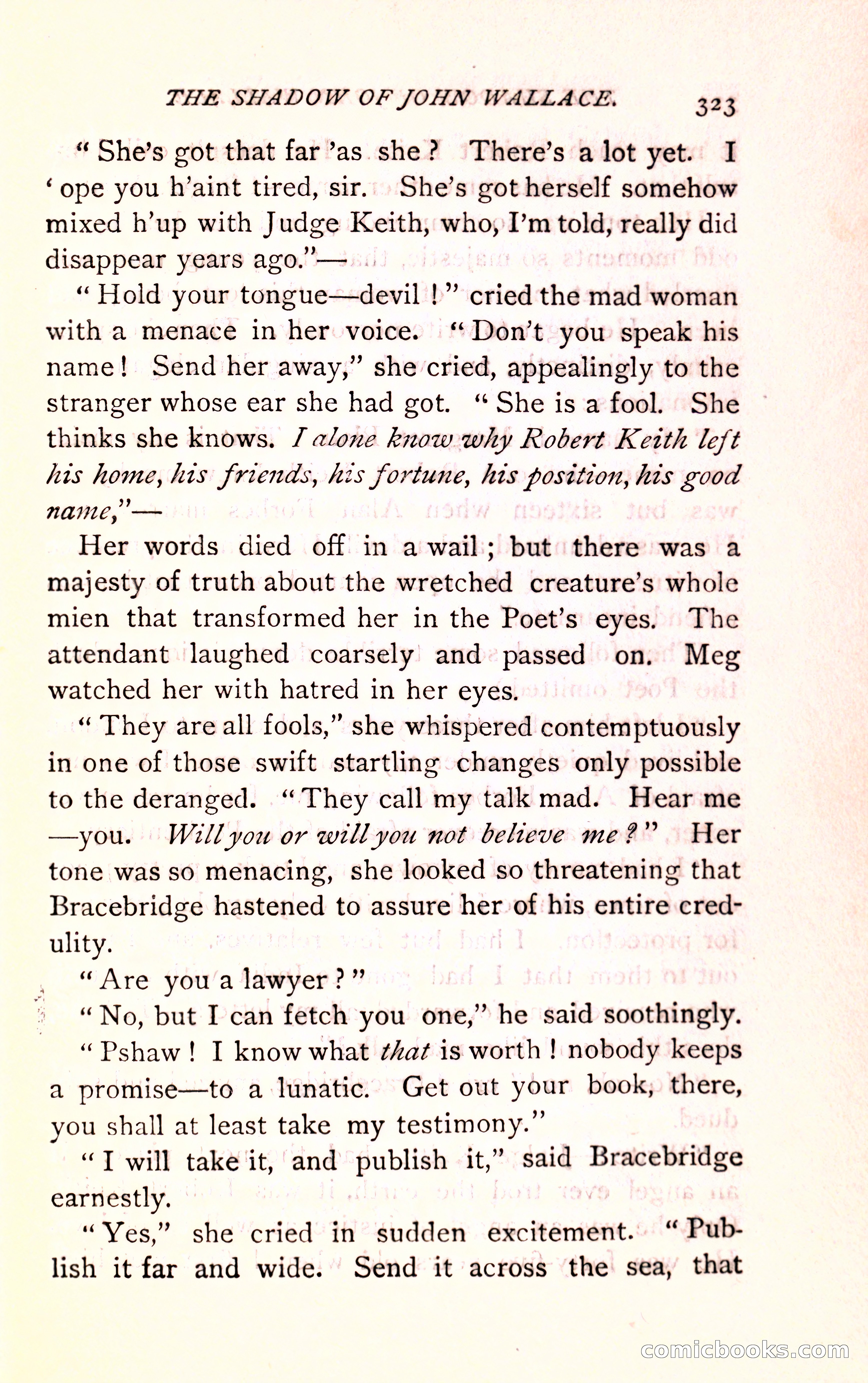 The Shadow of John Wallace — page 325 of 400