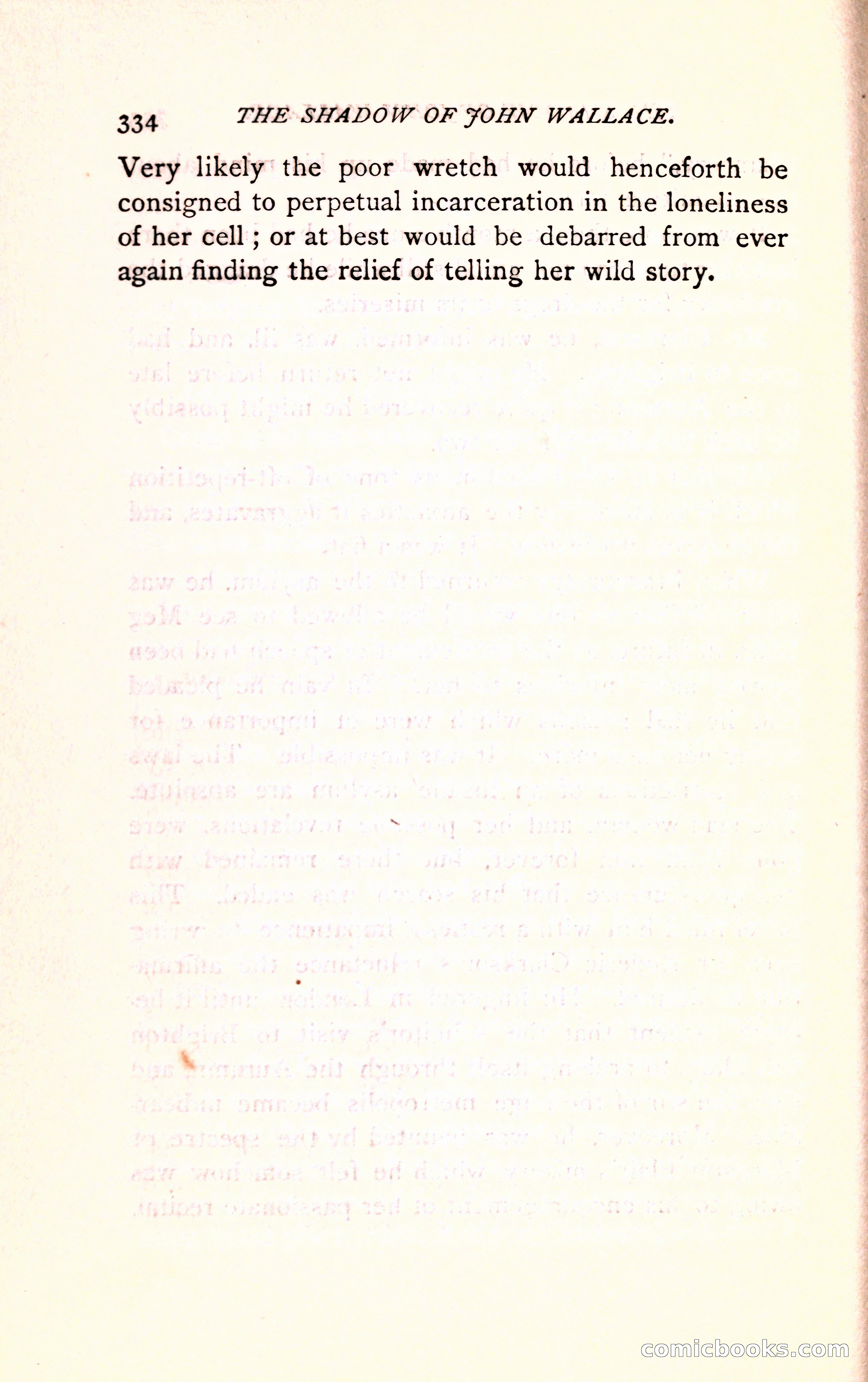 The Shadow of John Wallace — page 336 of 400