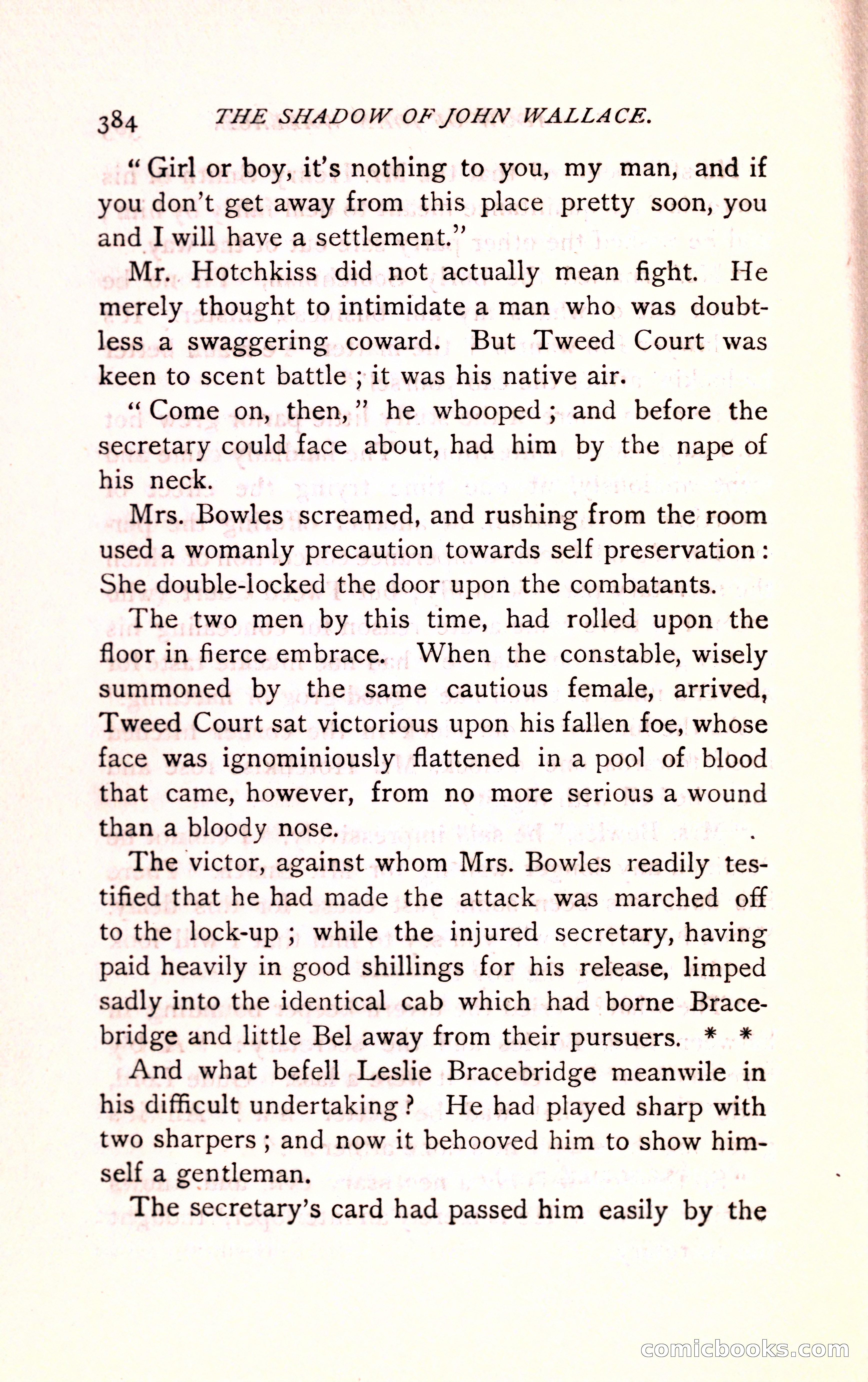 The Shadow of John Wallace — page 386 of 400
