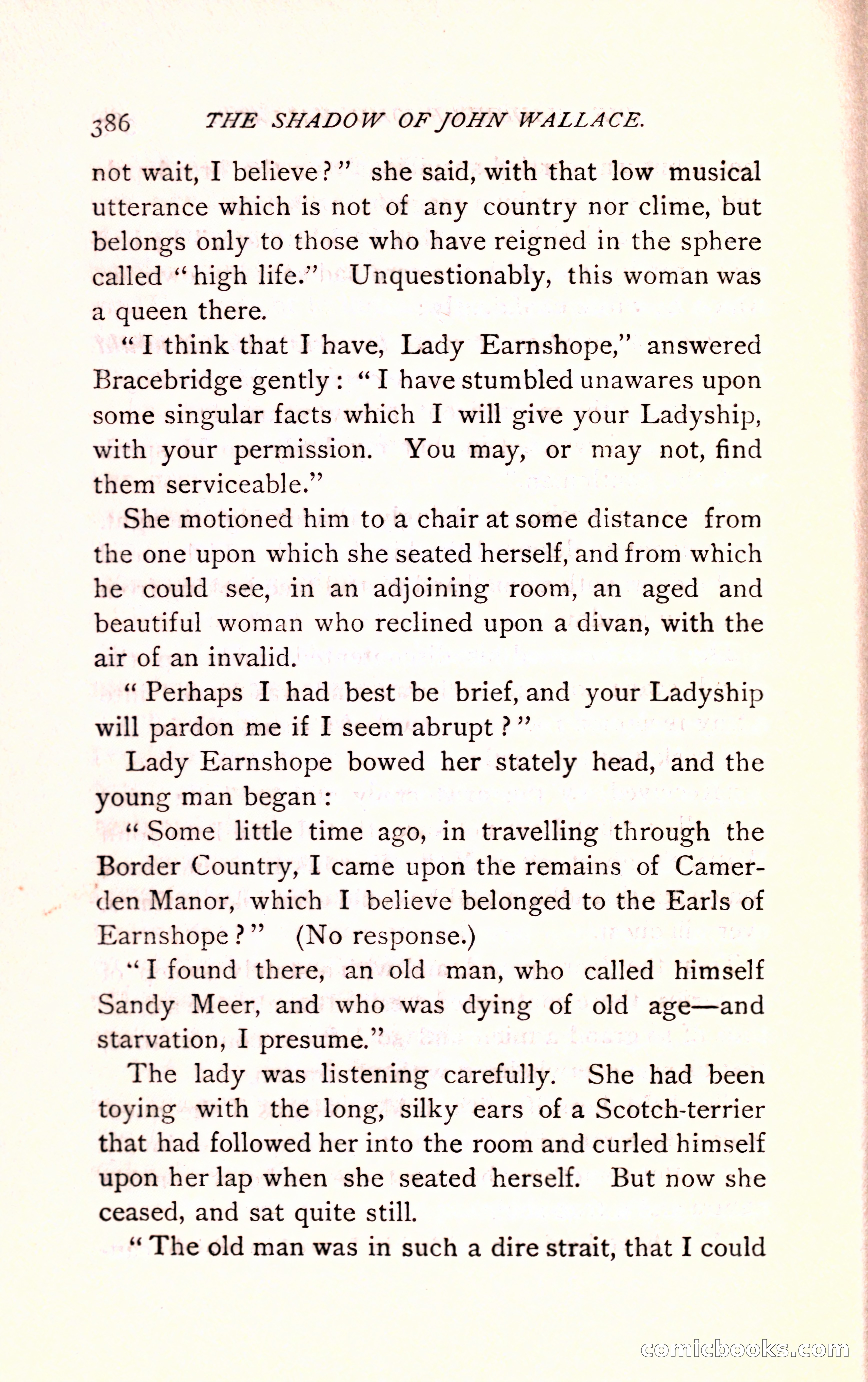 The Shadow of John Wallace — page 388 of 400