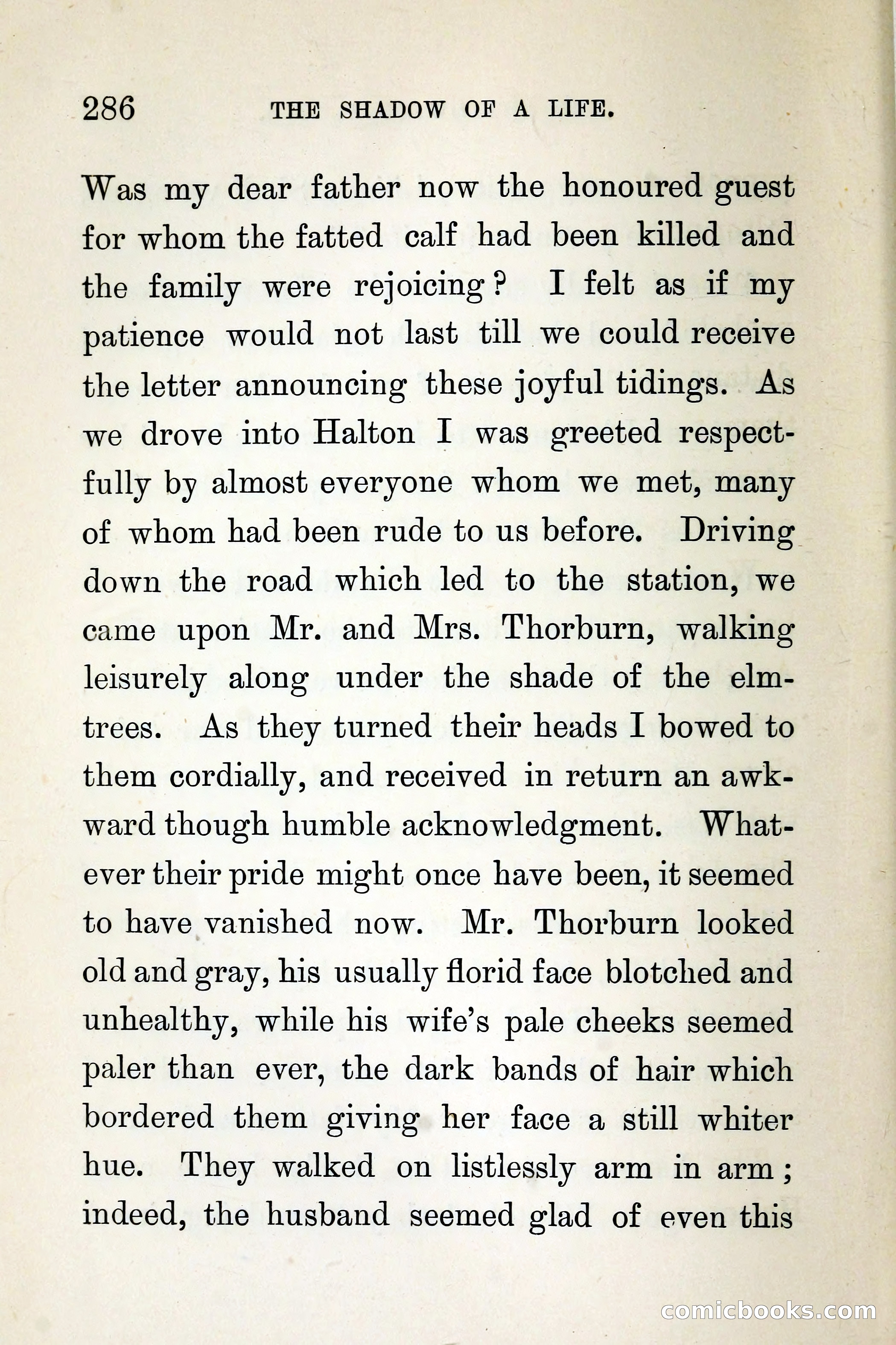 The Shadow of a Life — page 294 of 360