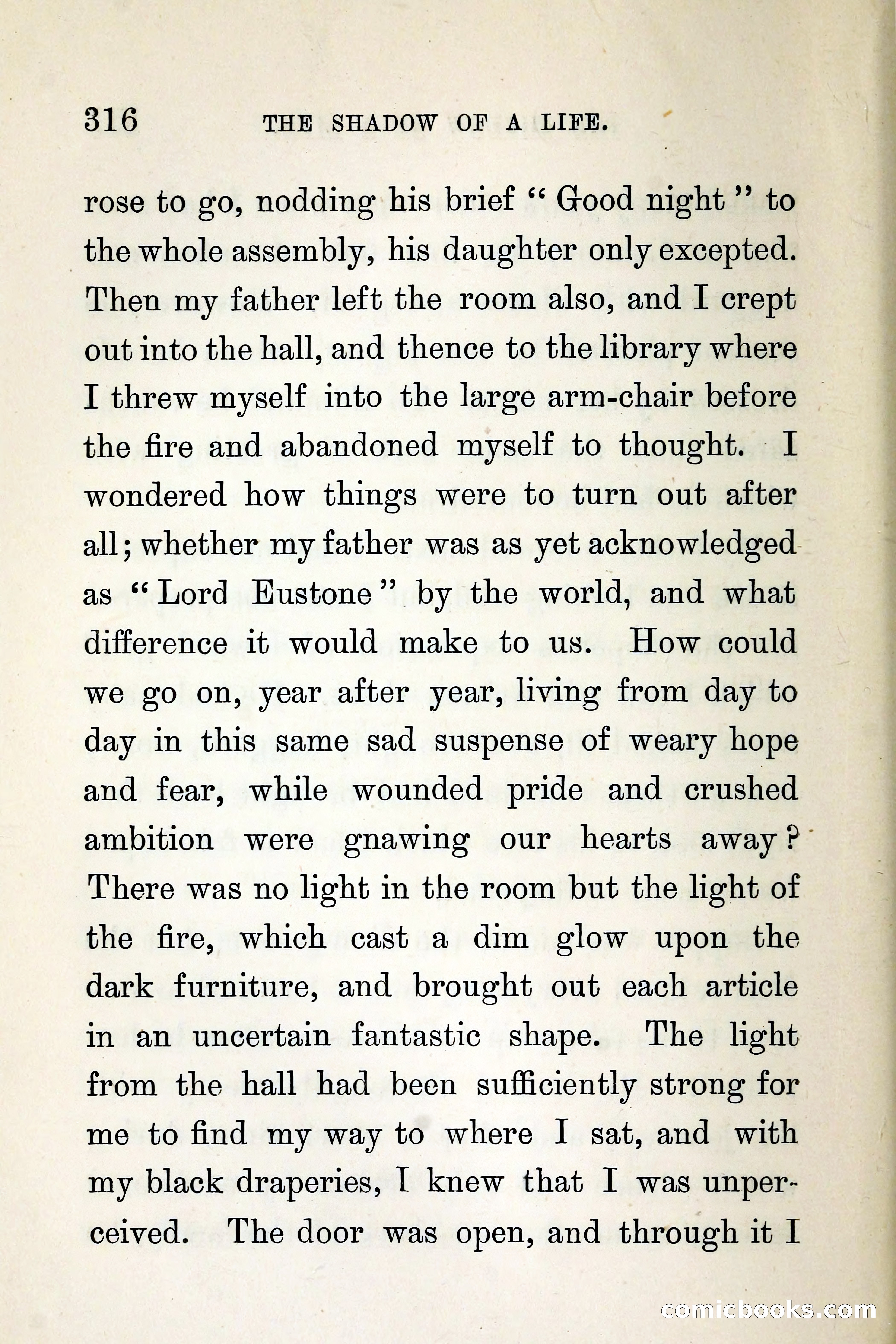 The Shadow of a Life — page 324 of 360