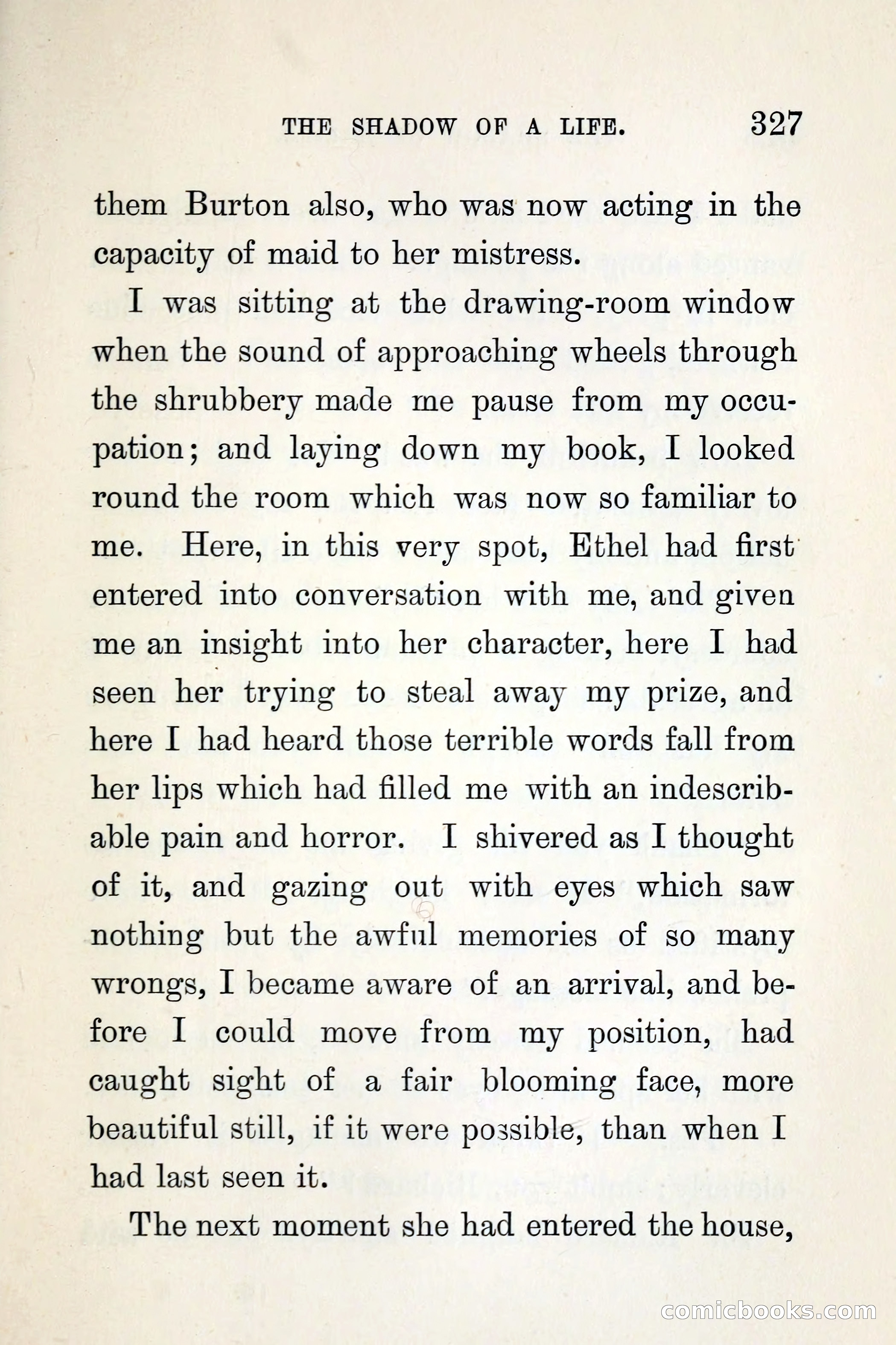 The Shadow of a Life — page 335 of 360