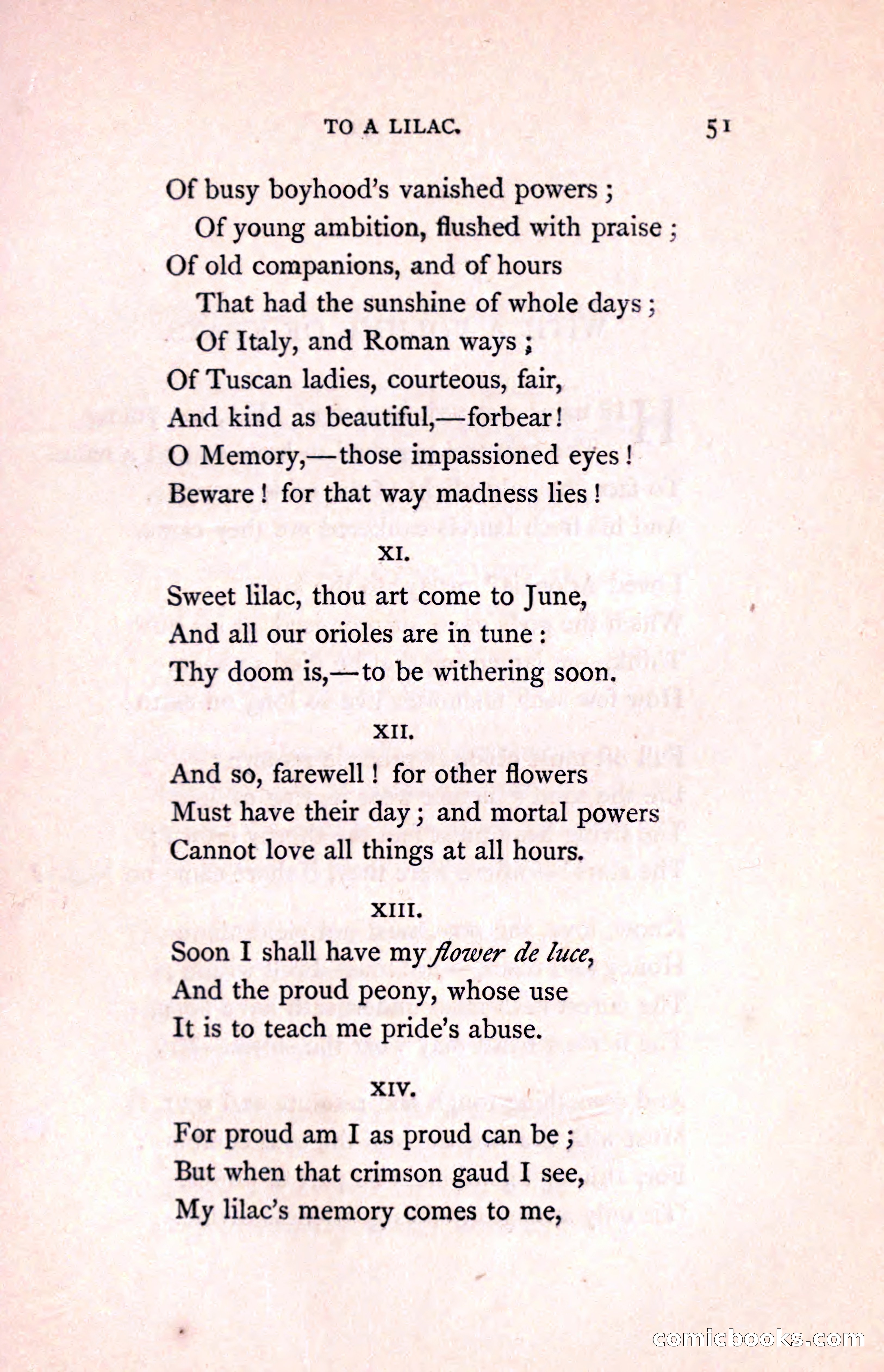 The Shadow of the Obelisk — page 61 of 132