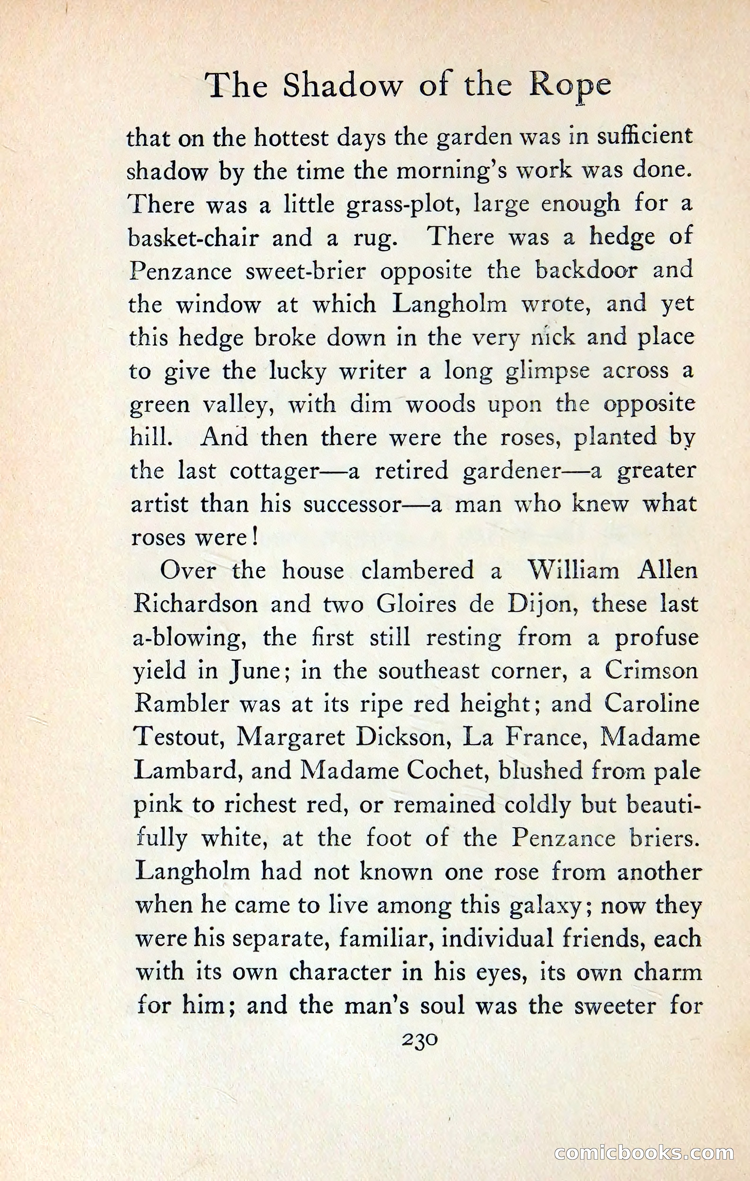 The Shadow of the Rope — page 249 of 399