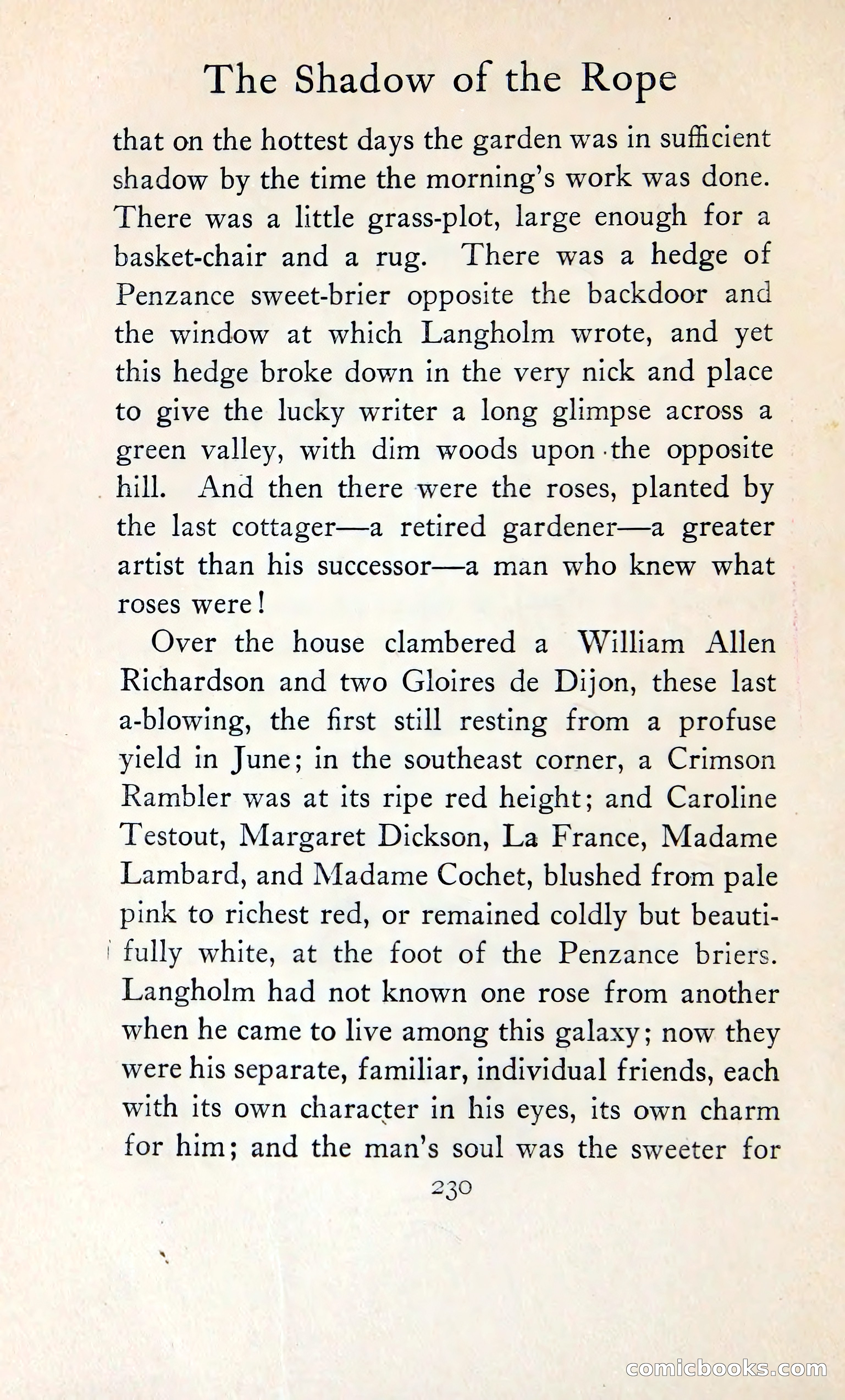 The Shadow of the Rope — page 249 of 394