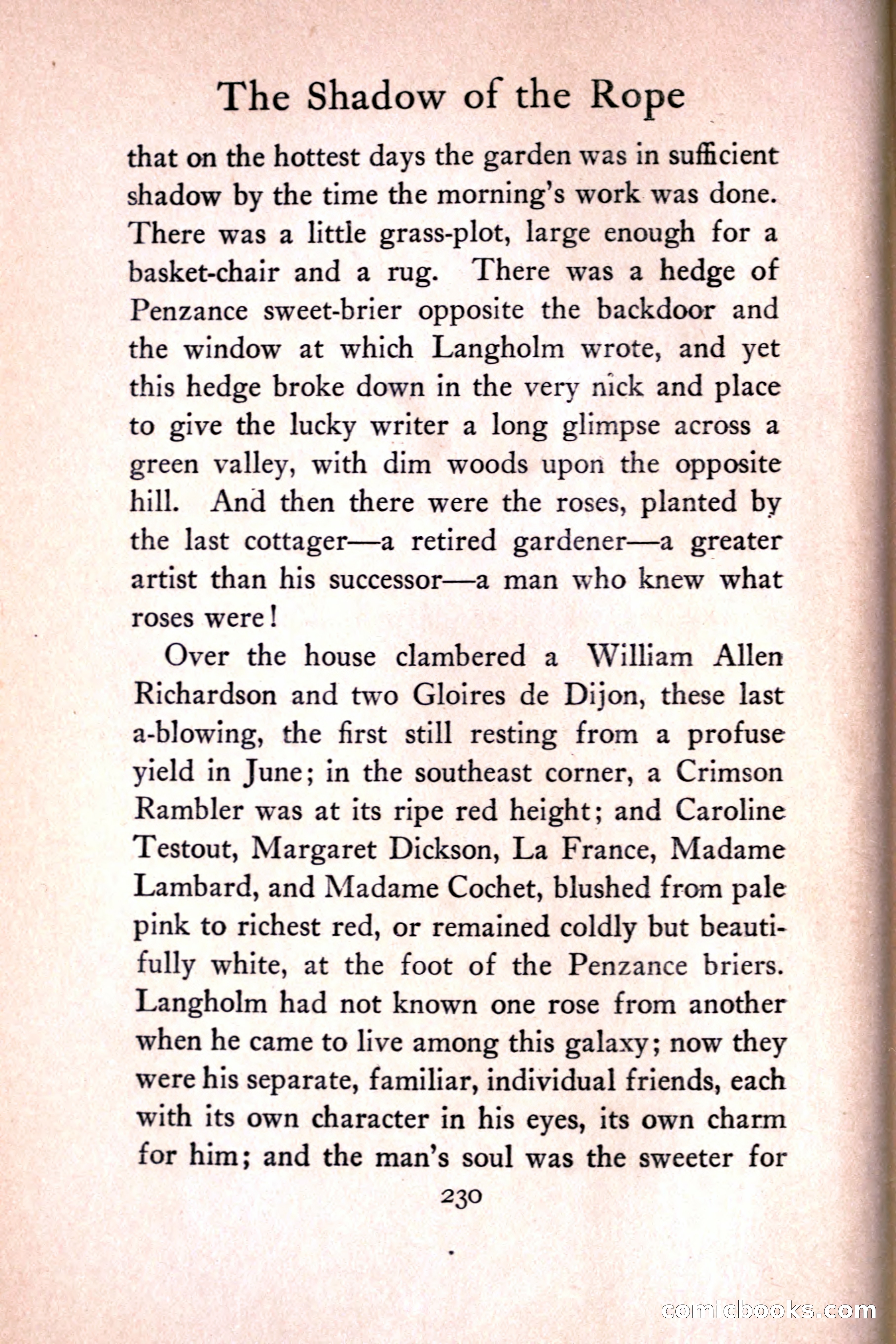 The Shadow of the Rope — page 250 of 395