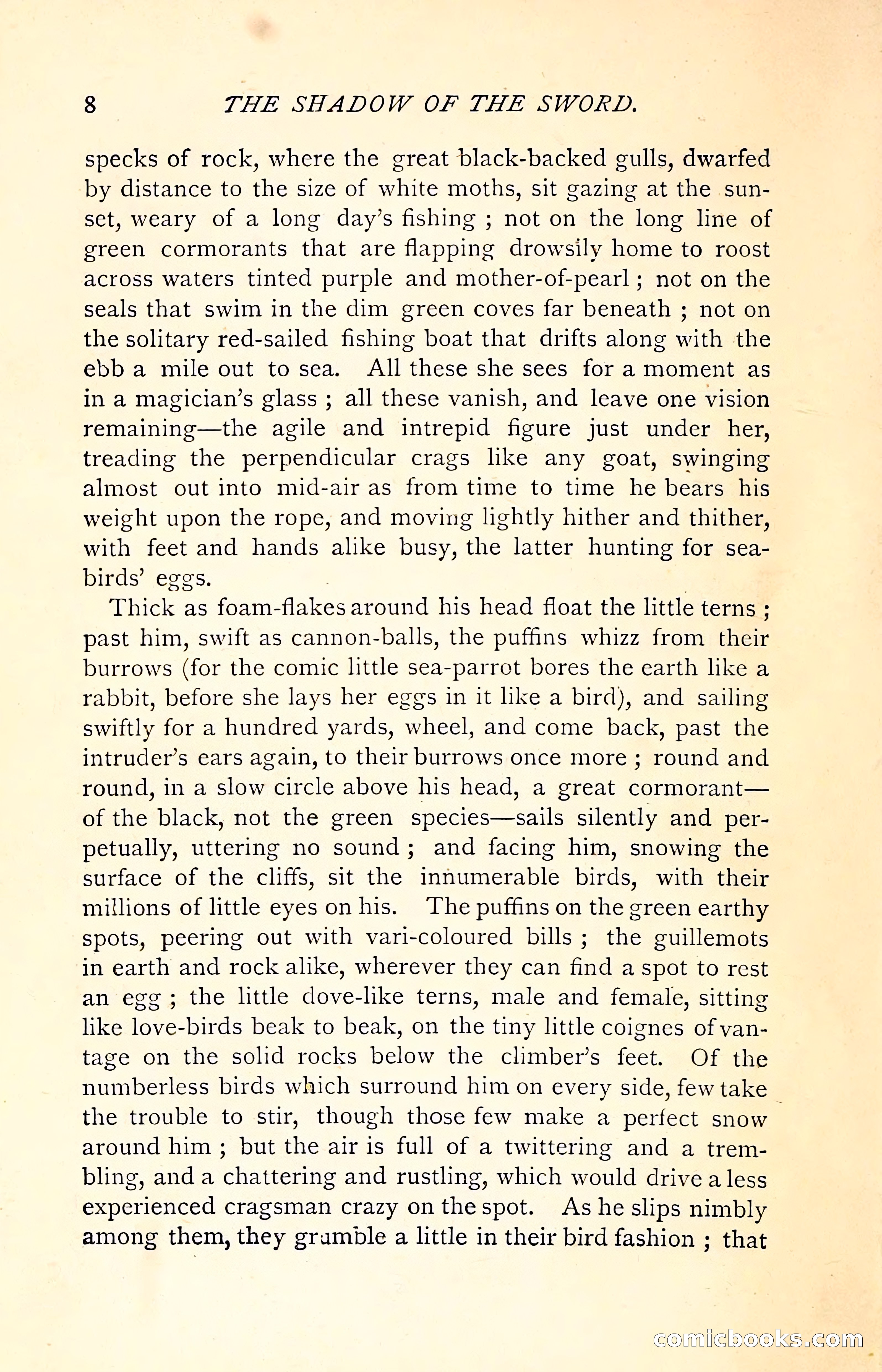 The Shadow of the Sword — page 24 of 400
