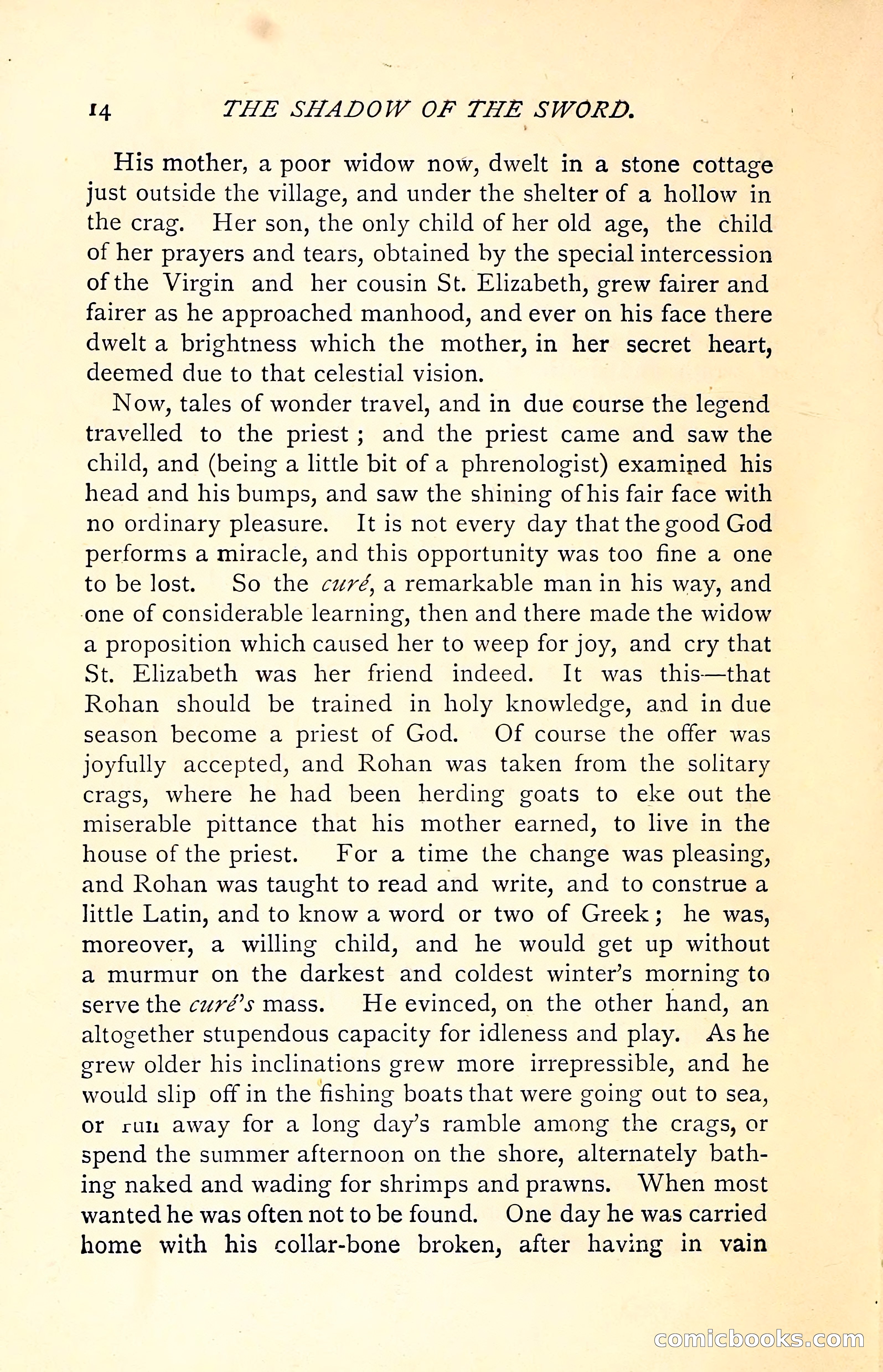 The Shadow of the Sword — page 30 of 400
