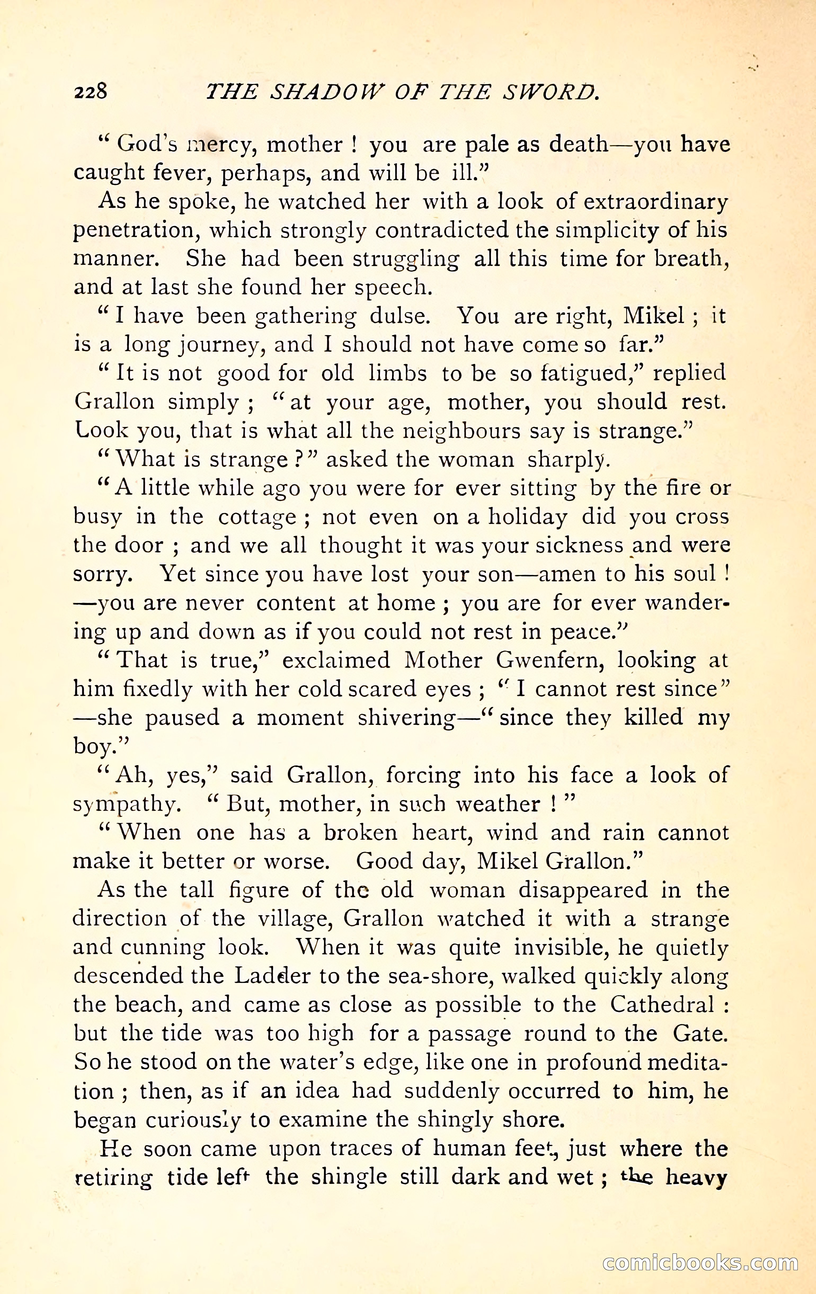 The Shadow of the Sword — page 244 of 400