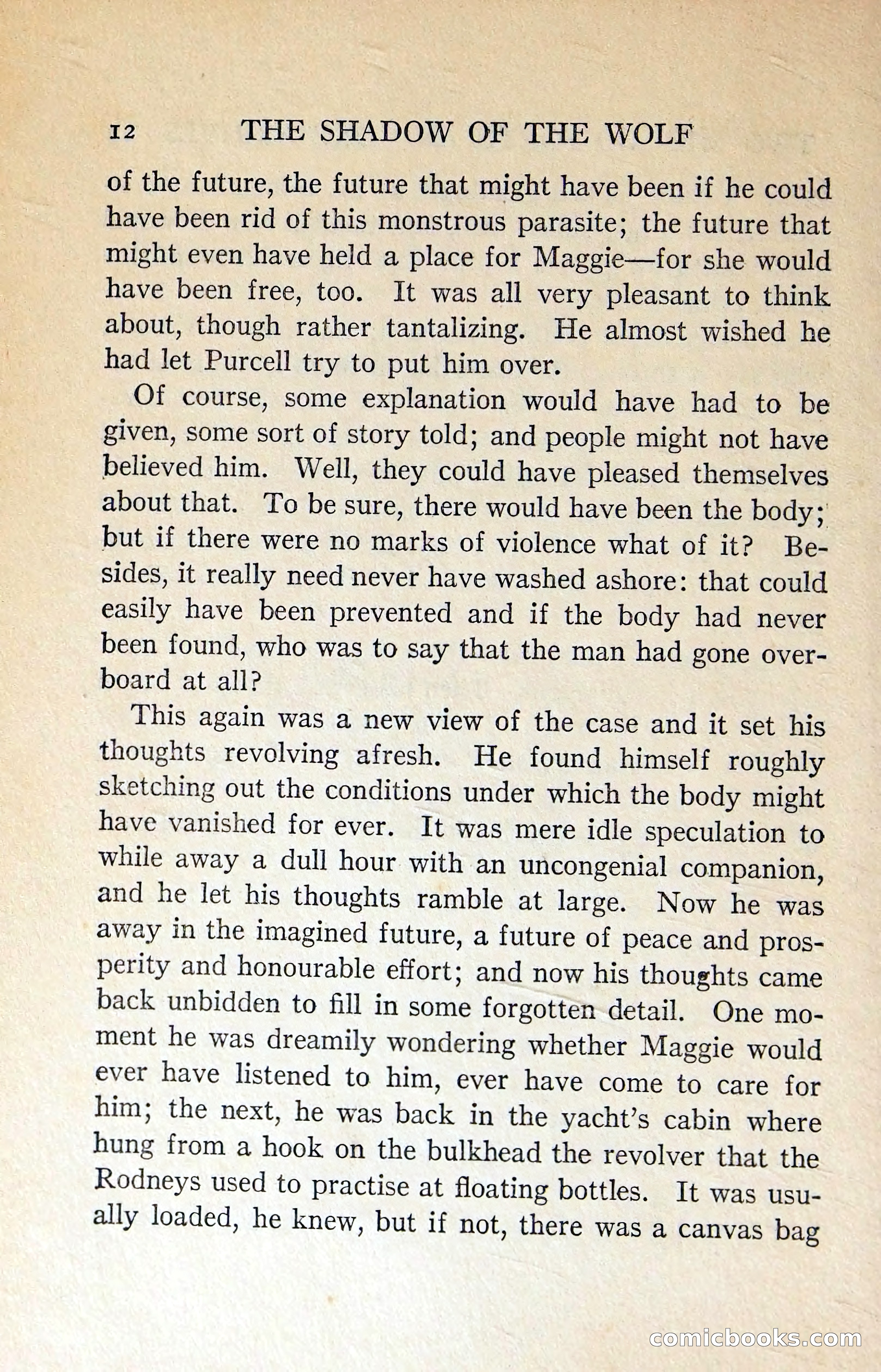 The Shadow of the Wolf — page 21 of 311