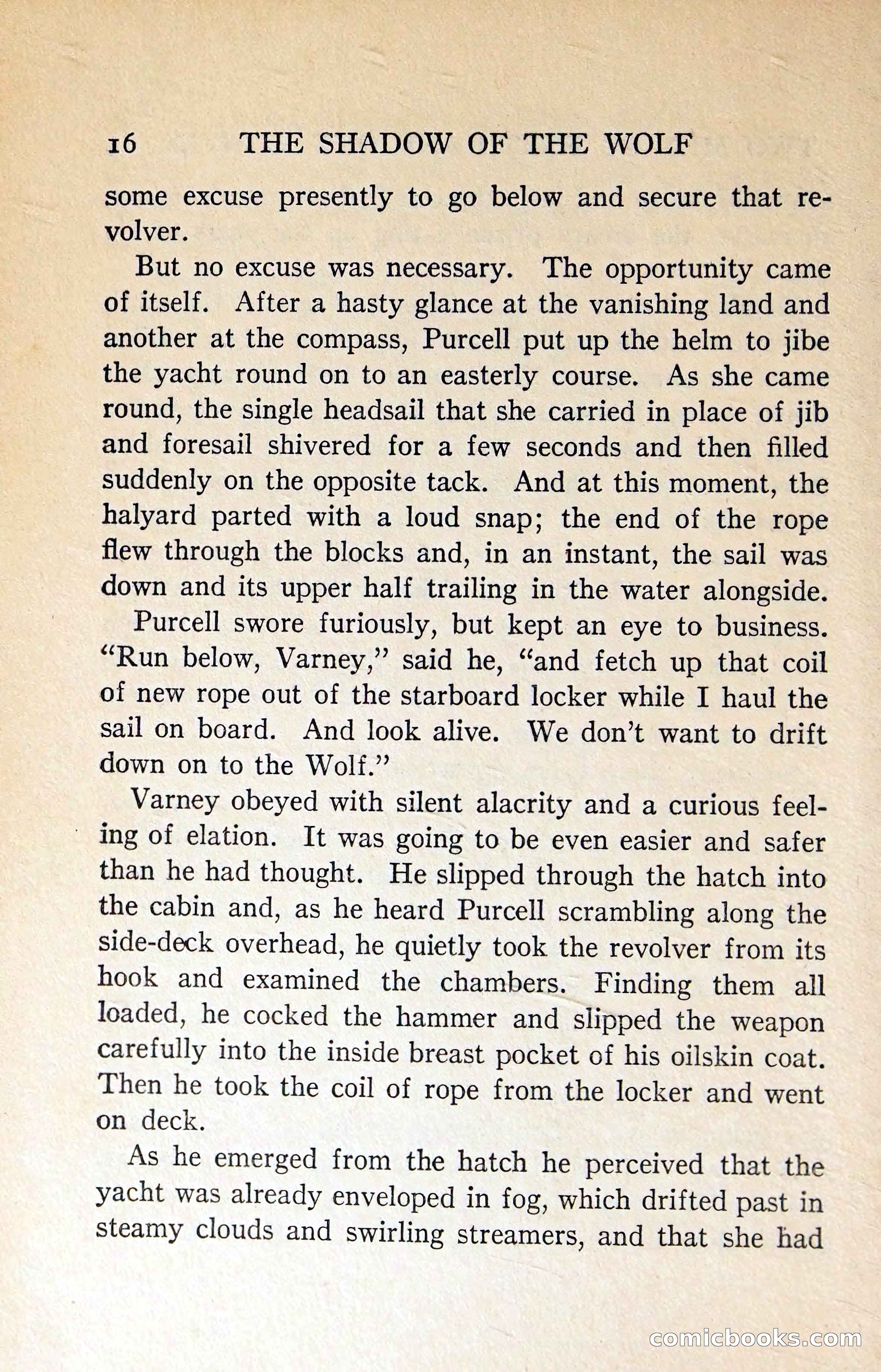 The Shadow of the Wolf — page 25 of 311