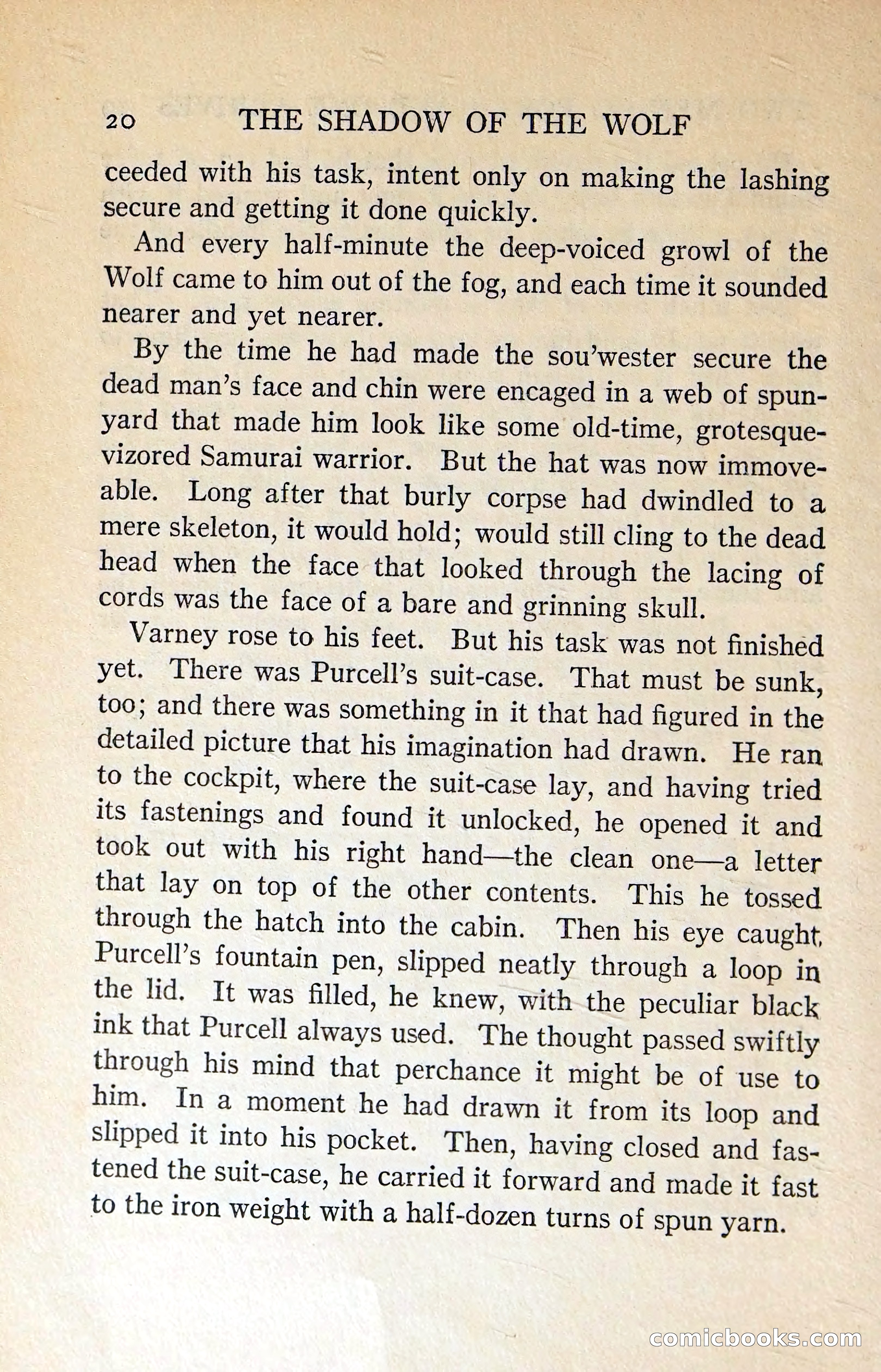 The Shadow of the Wolf — page 29 of 311