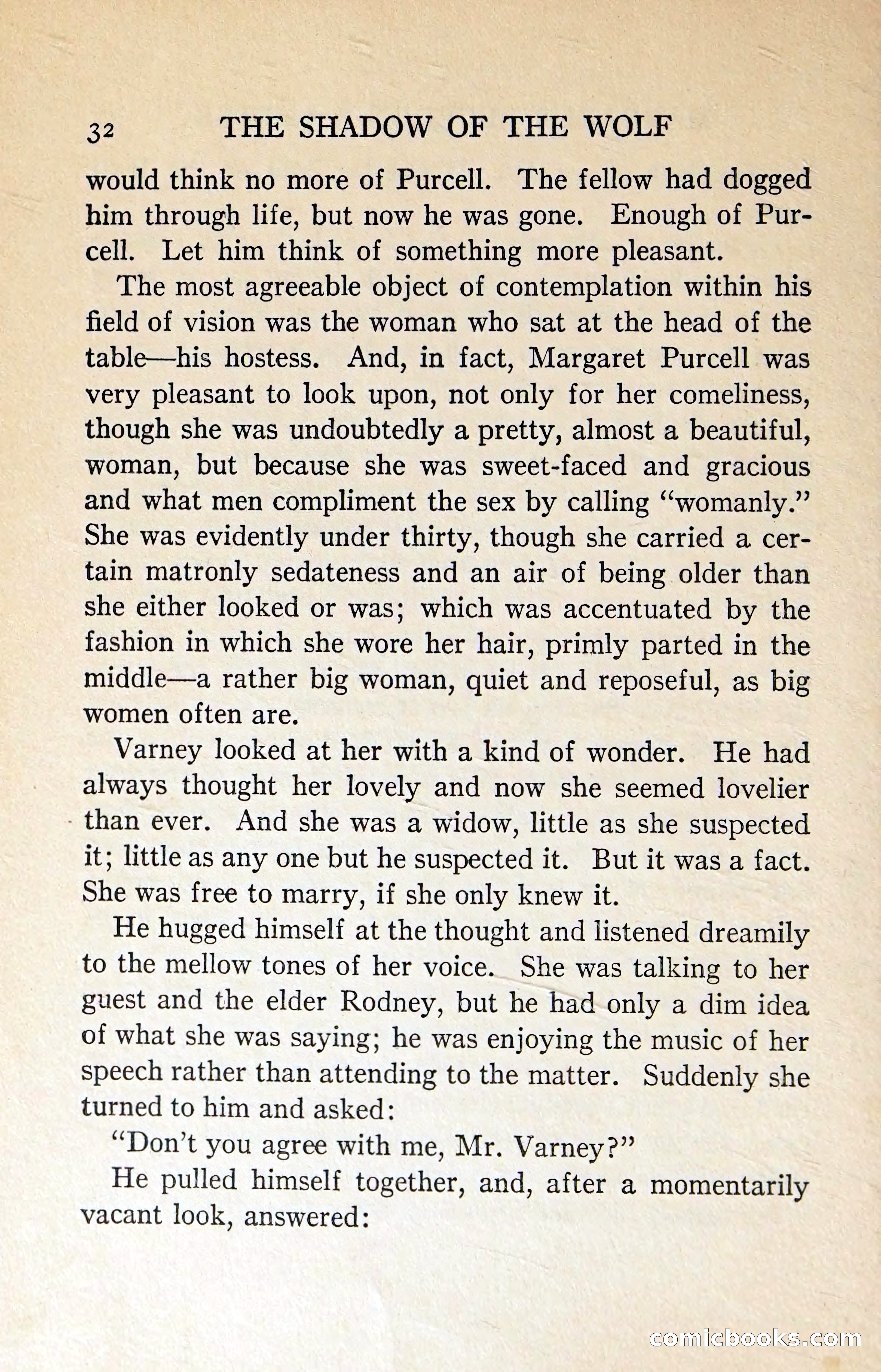 The Shadow of the Wolf — page 41 of 311