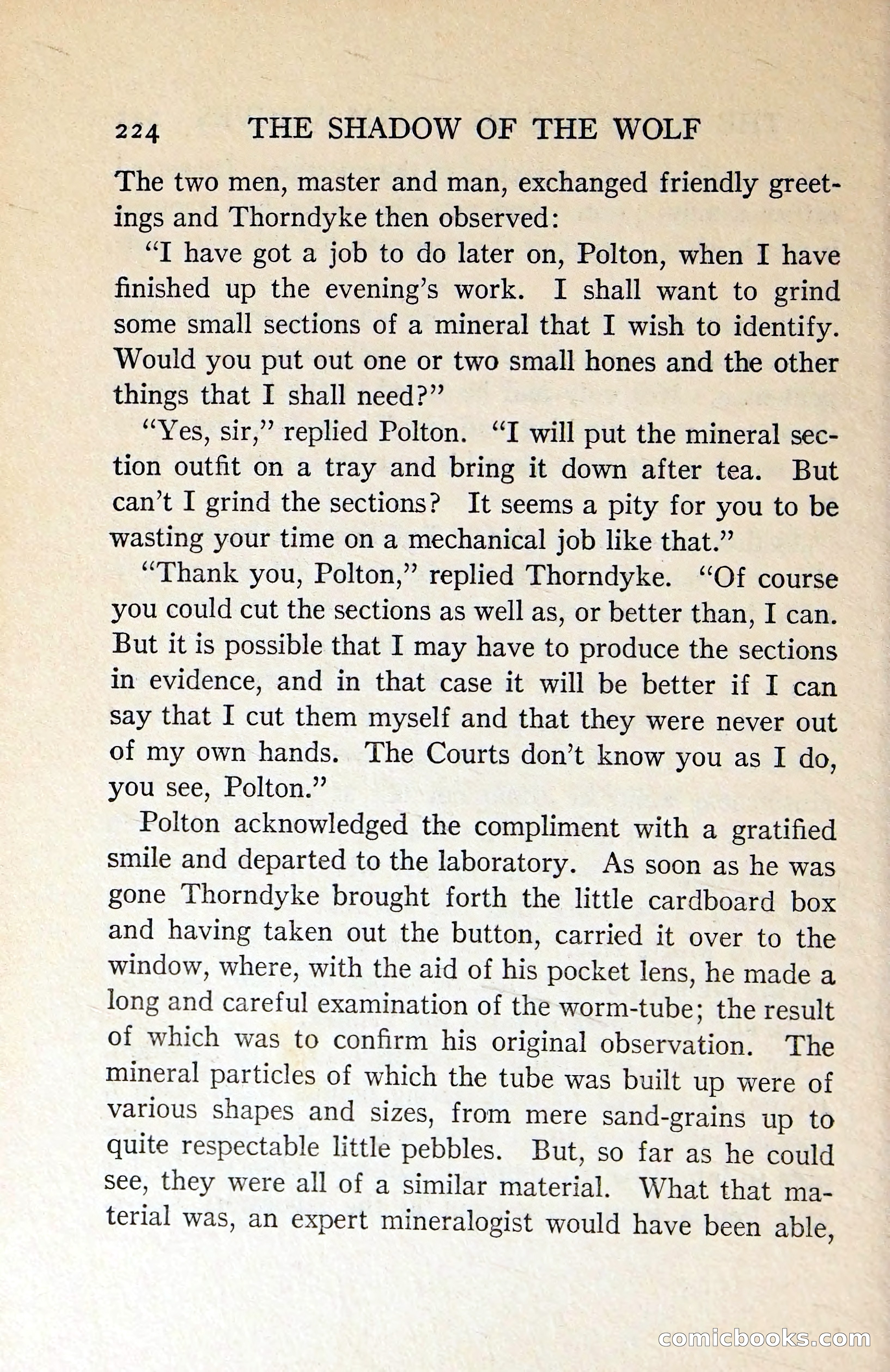 The Shadow of the Wolf — page 233 of 311