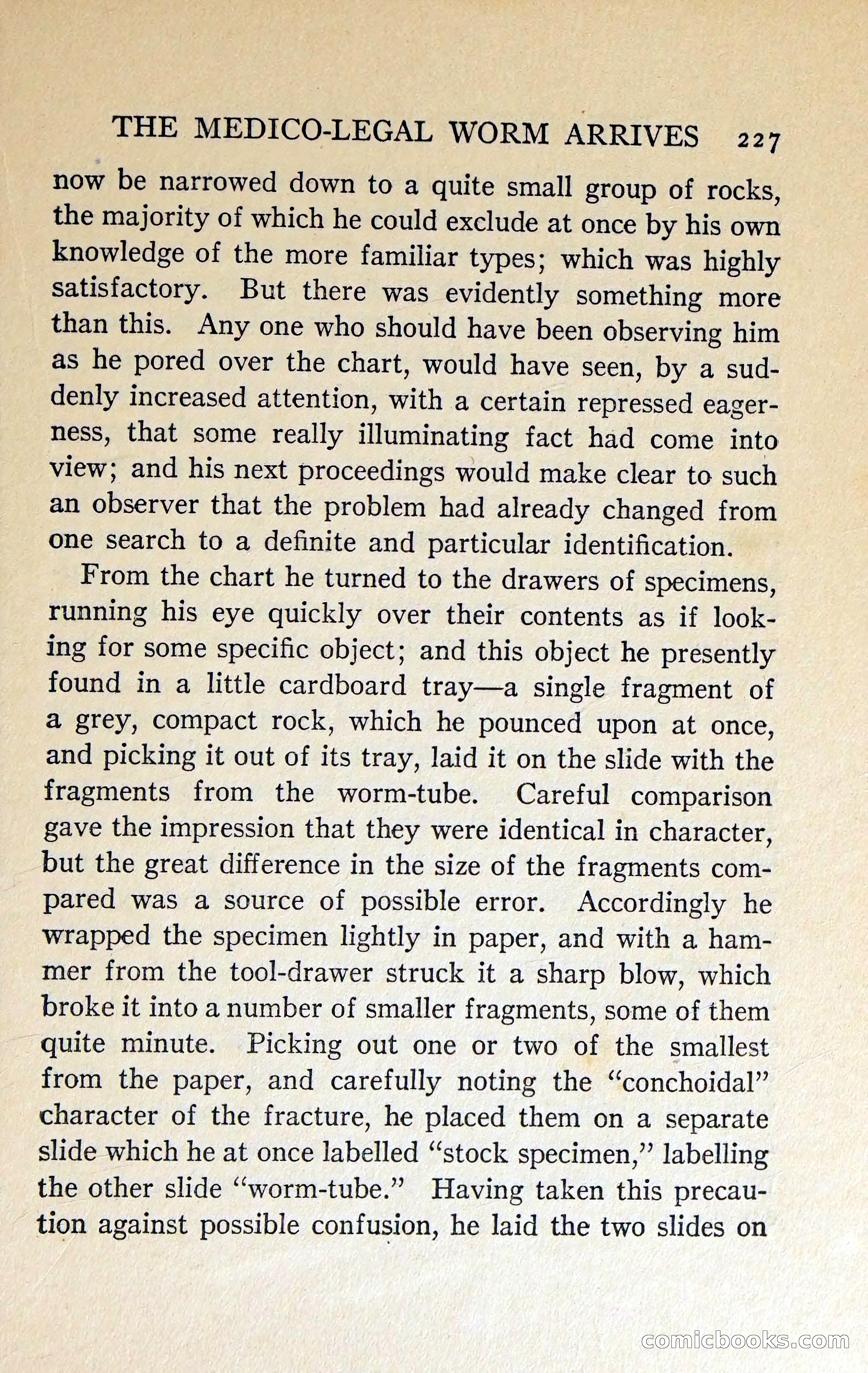 The Shadow of the Wolf — page 236 of 311
