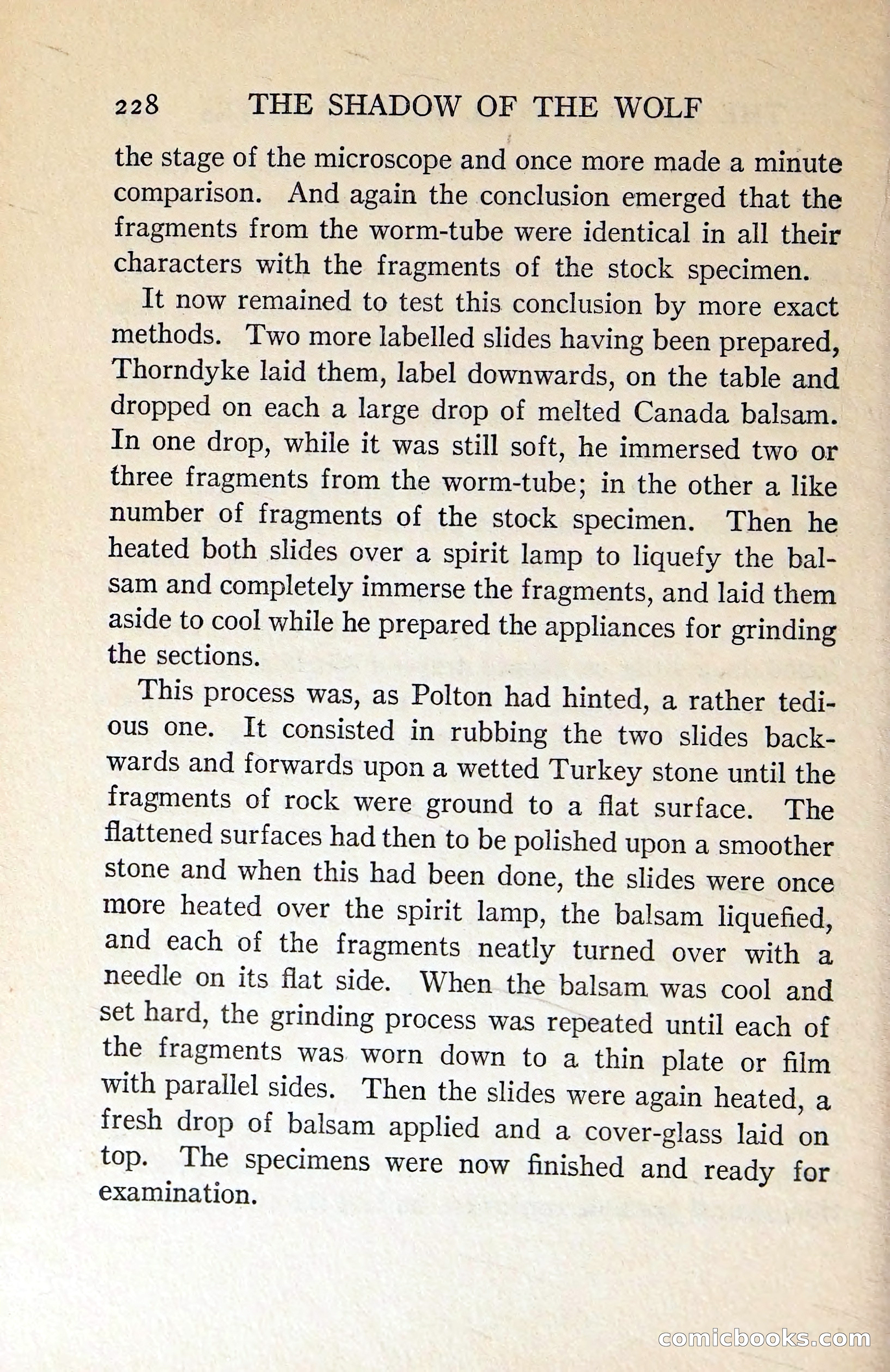 The Shadow of the Wolf — page 237 of 311