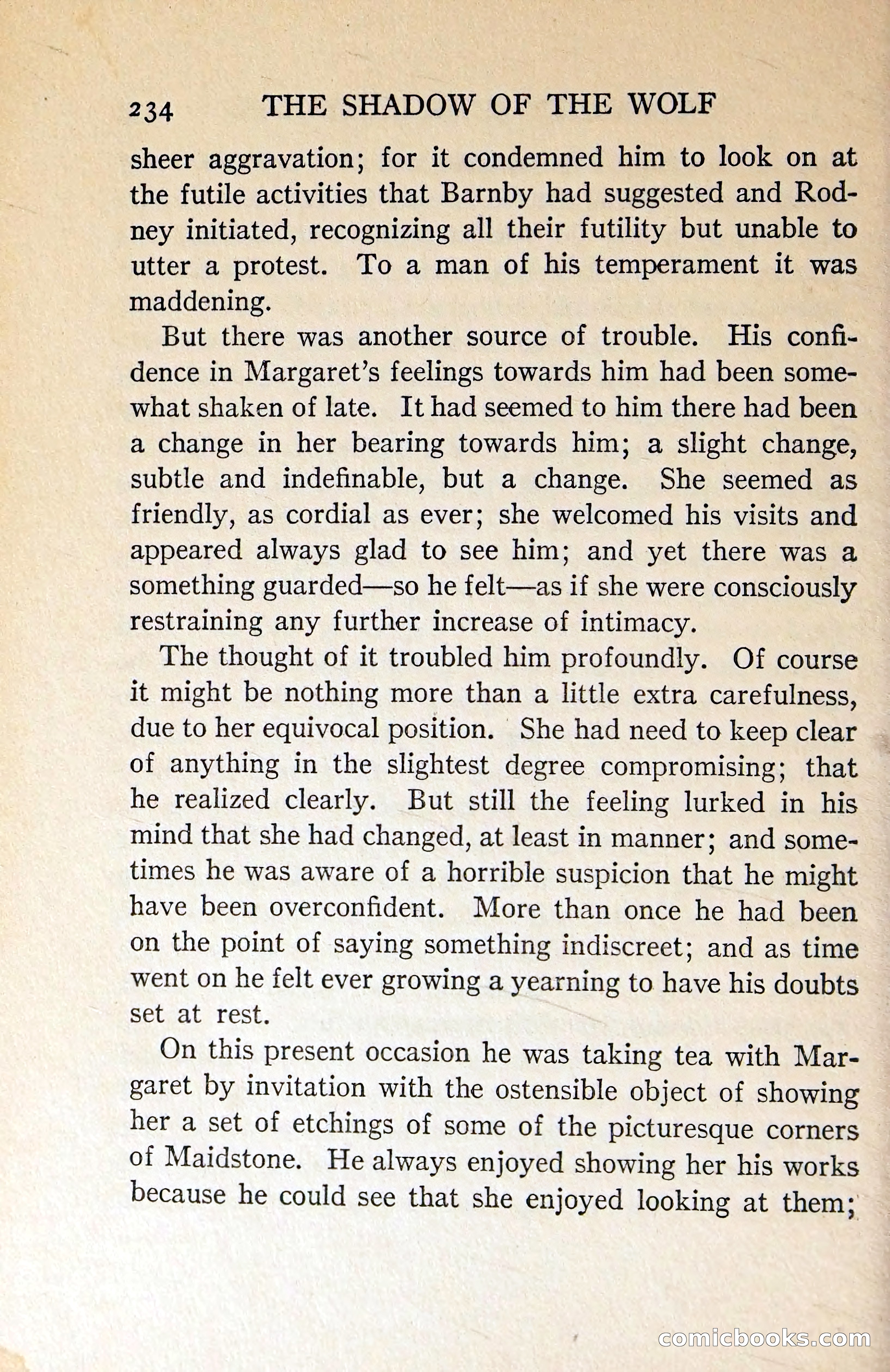 The Shadow of the Wolf — page 243 of 311