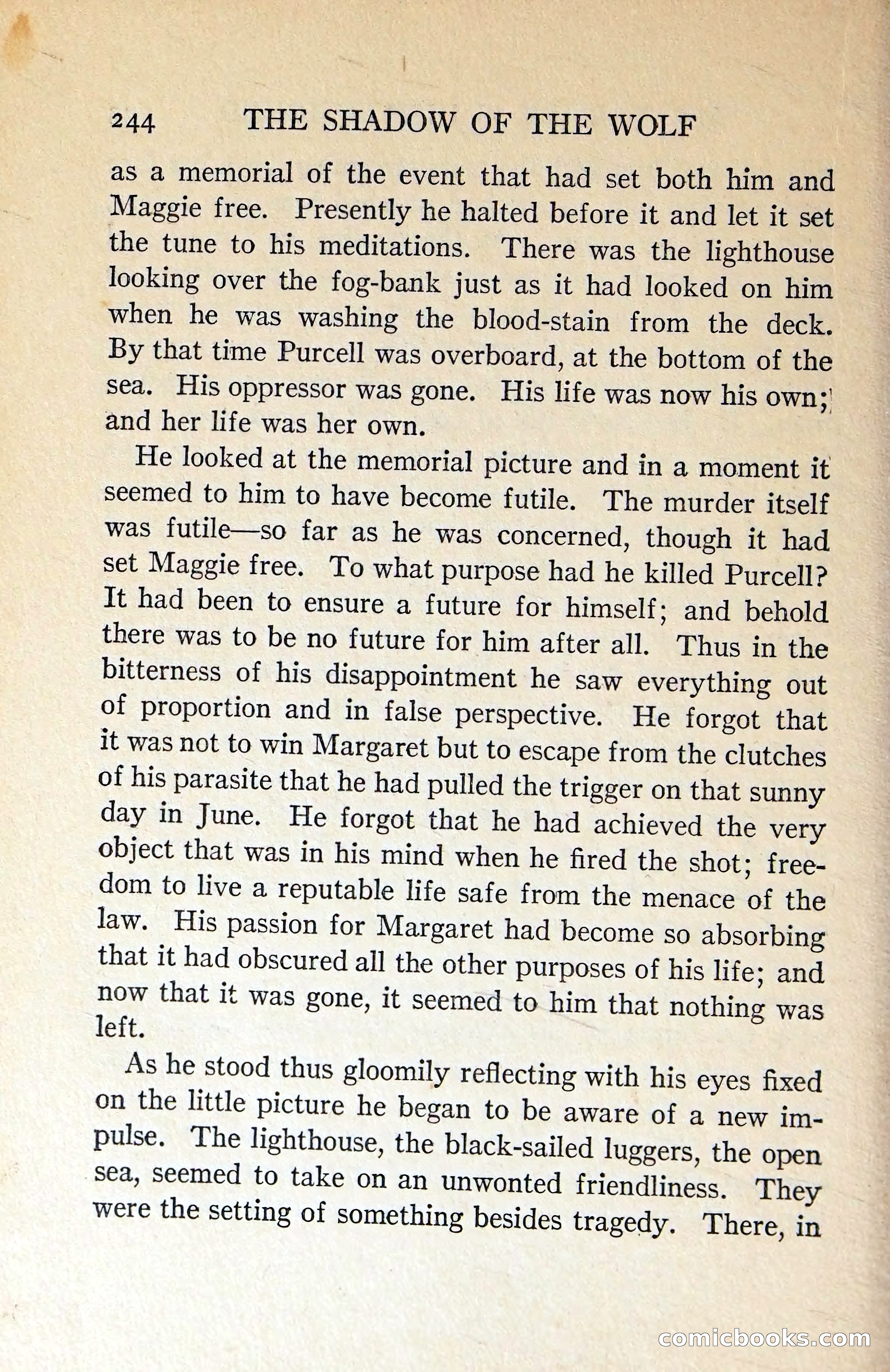 The Shadow of the Wolf — page 253 of 311