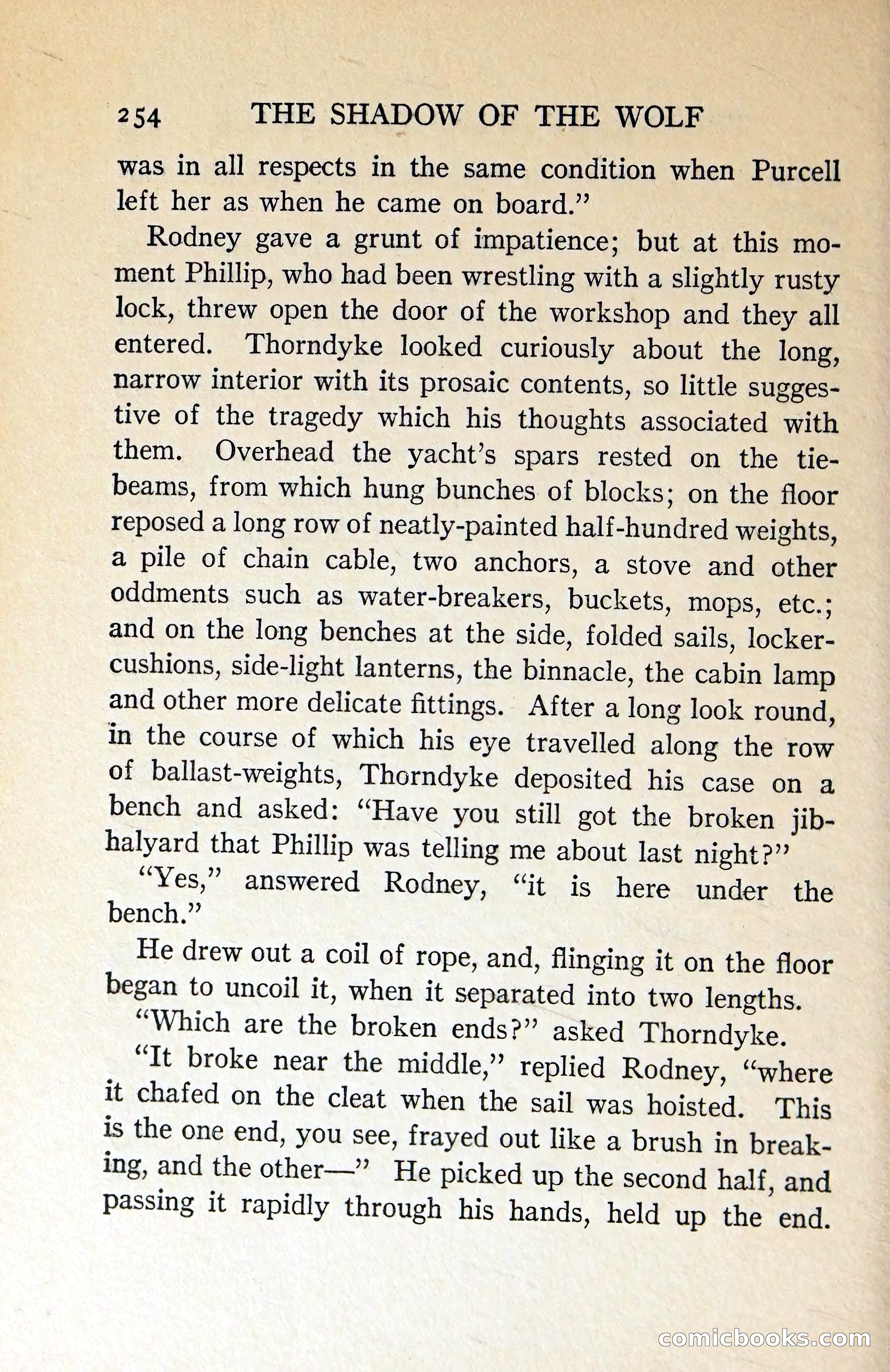 The Shadow of the Wolf — page 263 of 311