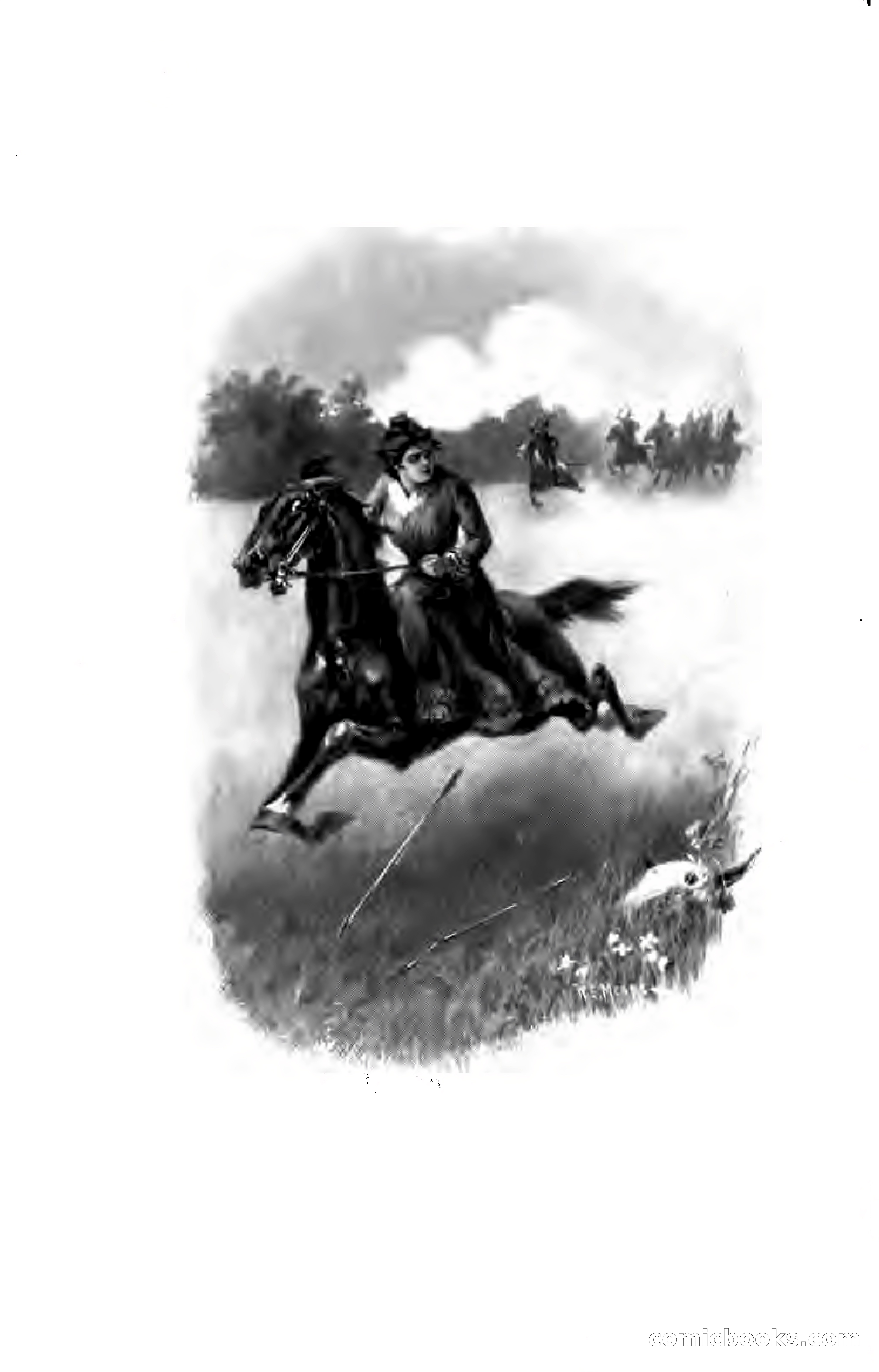 The Shadow of Victory: A Romance of Fort Dearborn — page 11 of 399