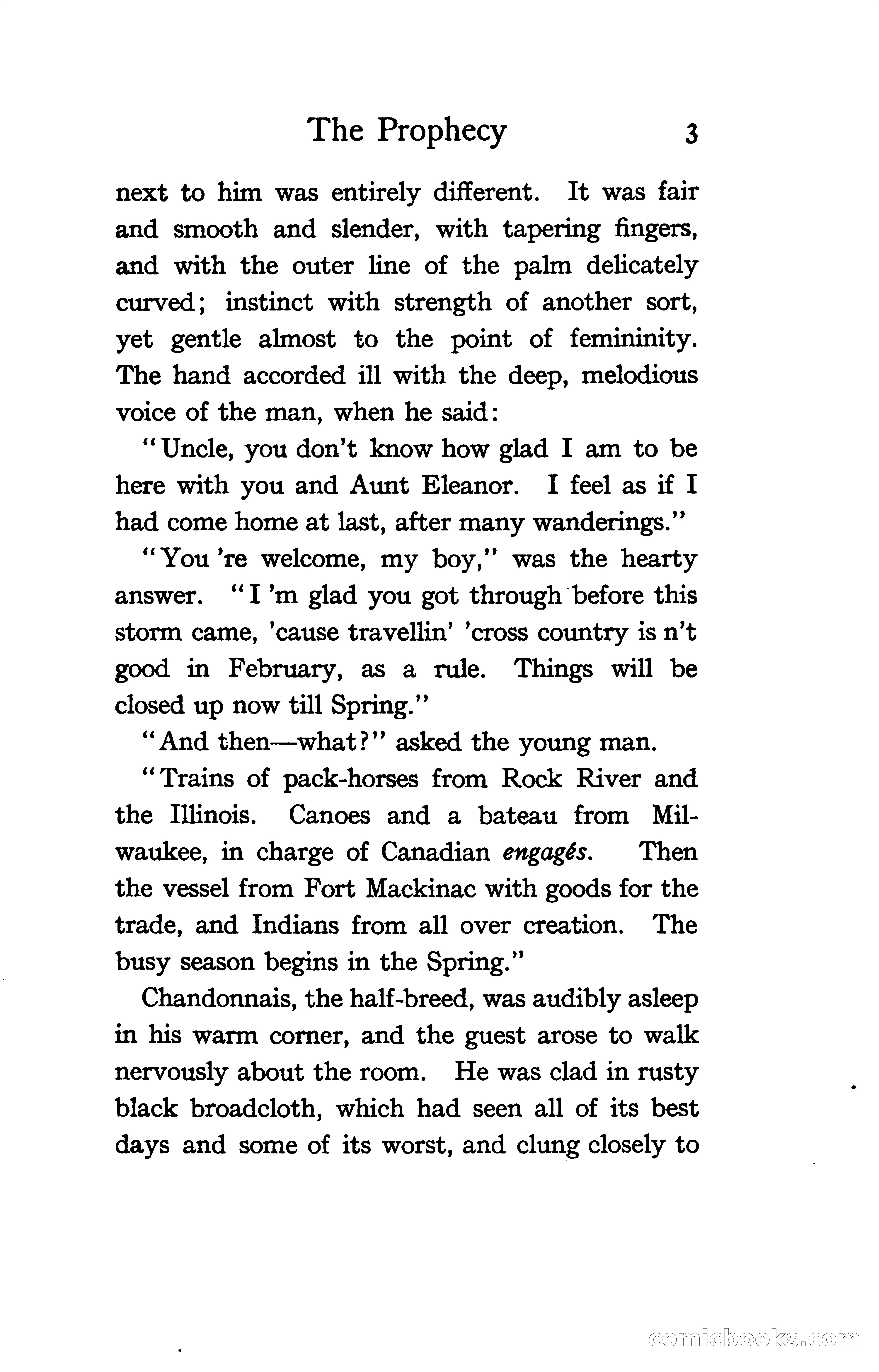 The Shadow of Victory: A Romance of Fort Dearborn — page 22 of 399