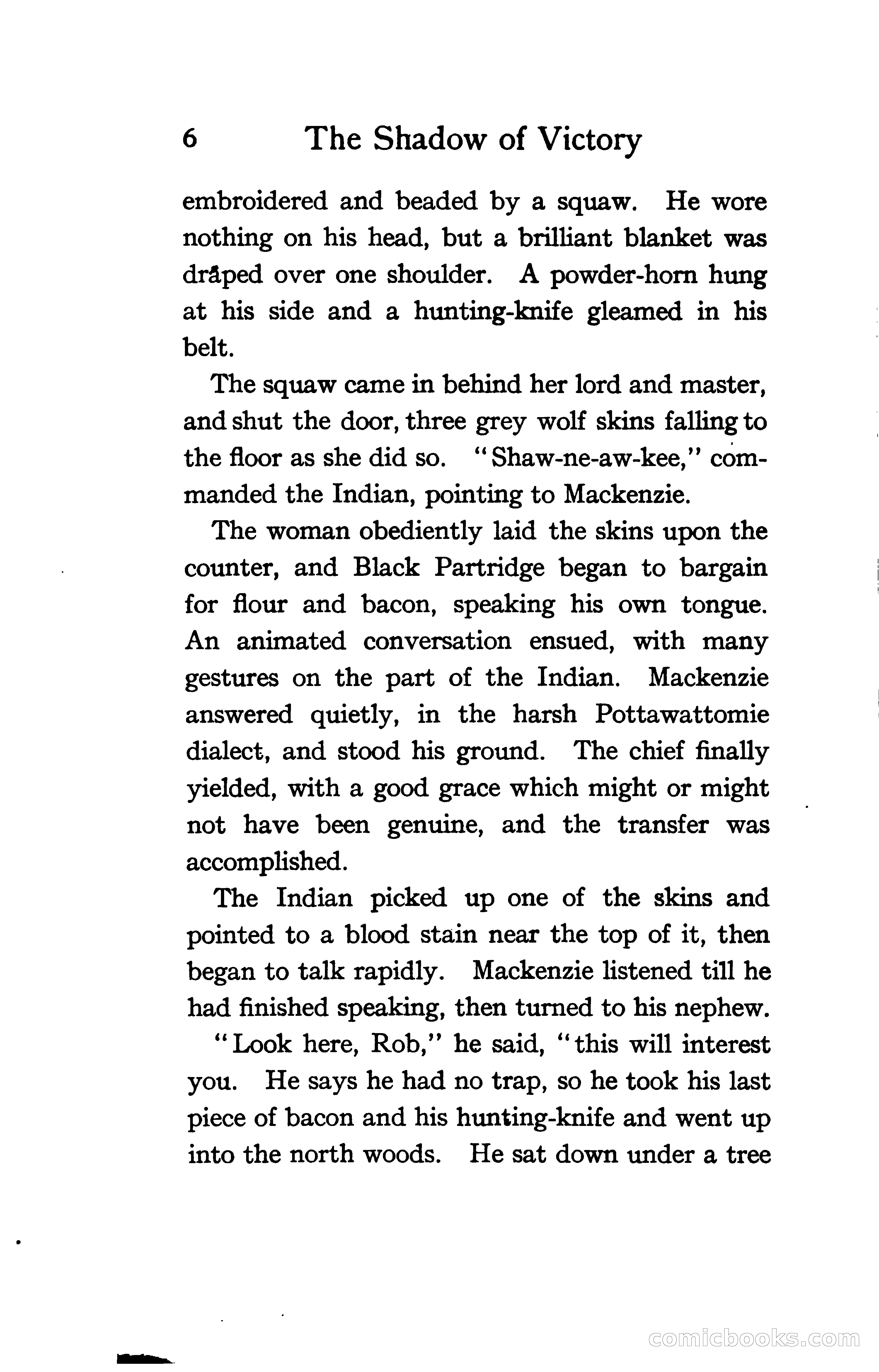 The Shadow of Victory: A Romance of Fort Dearborn — page 25 of 399