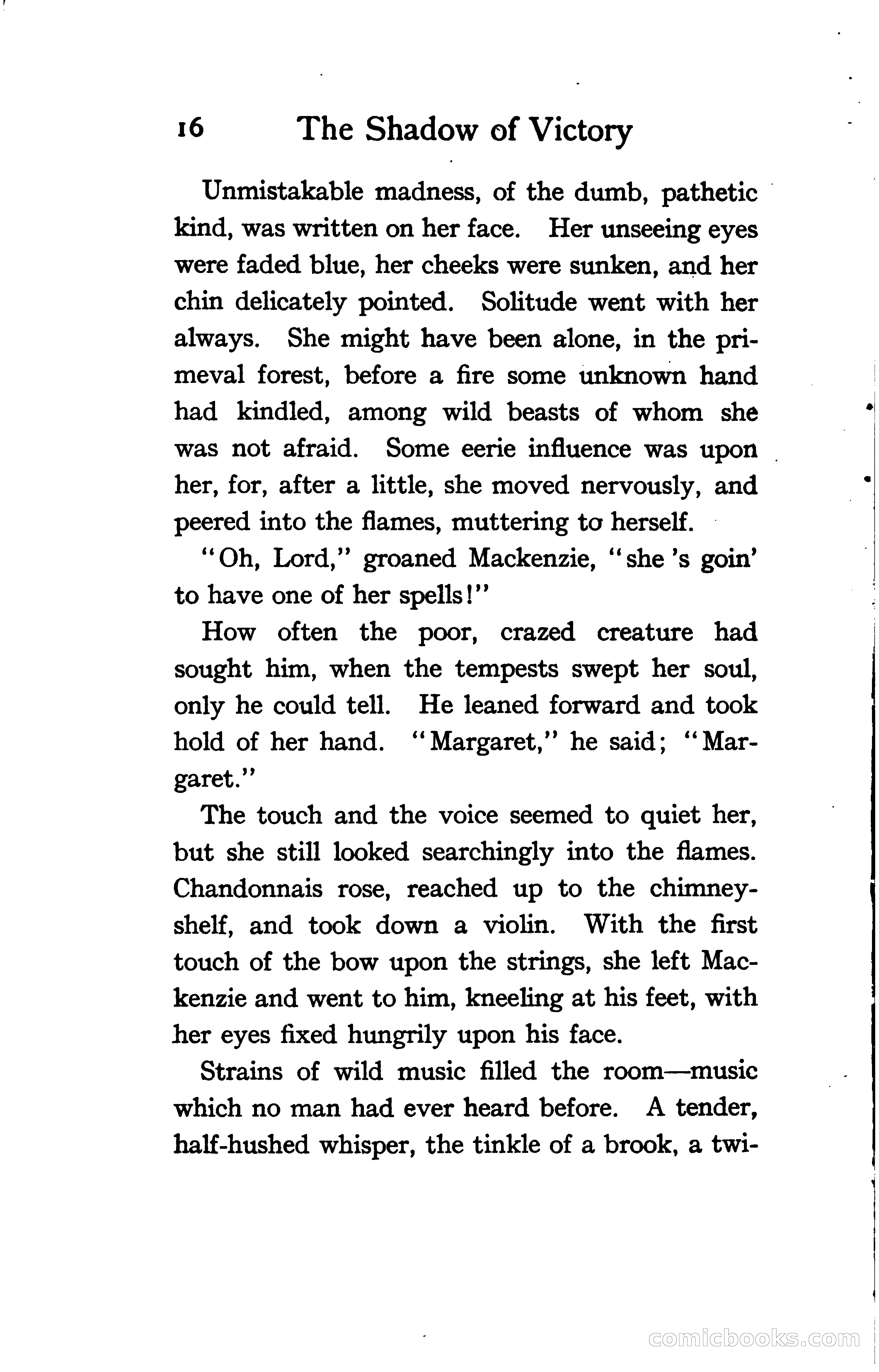 The Shadow of Victory: A Romance of Fort Dearborn — page 35 of 399