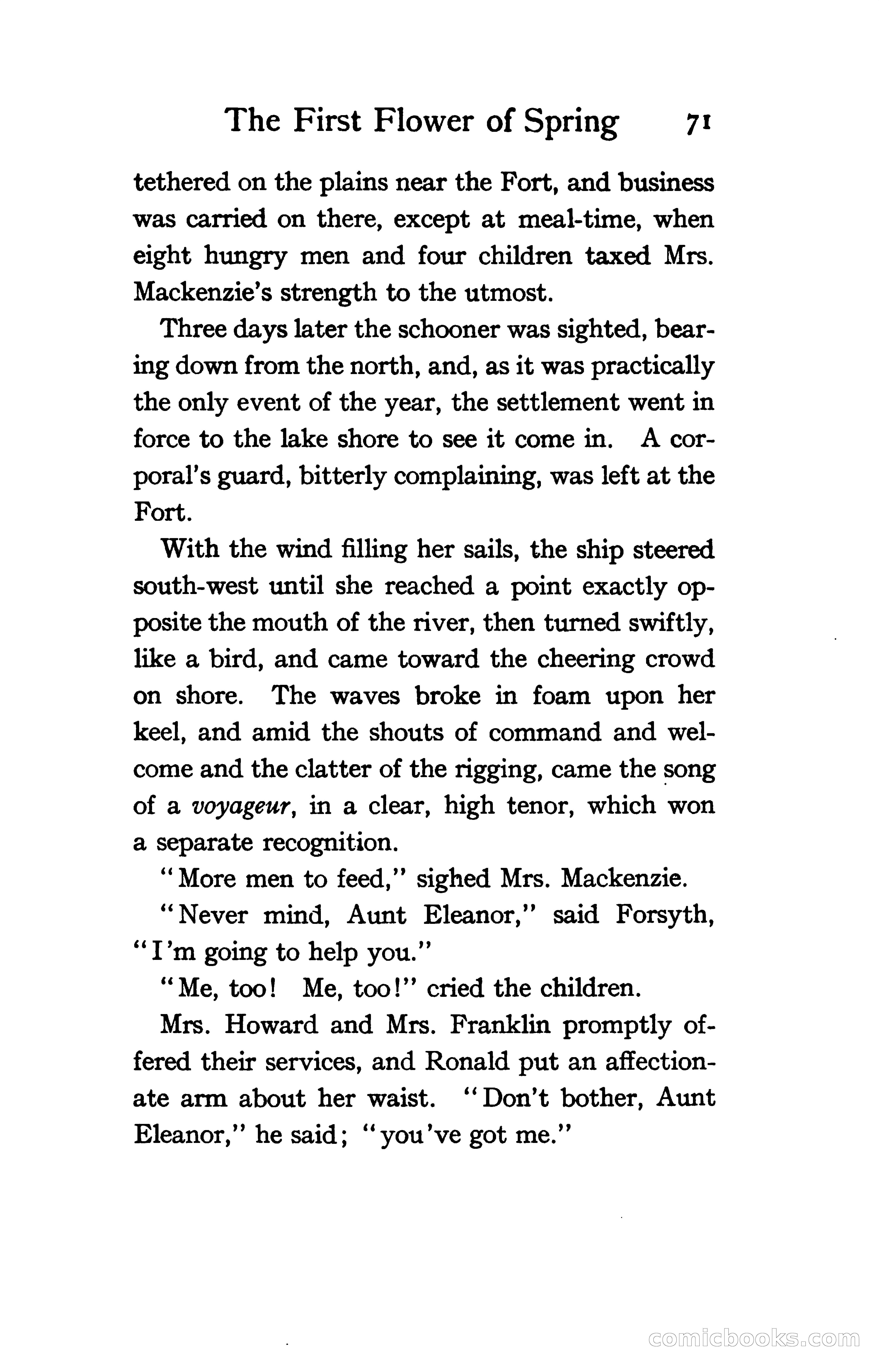 The Shadow of Victory: A Romance of Fort Dearborn — page 90 of 399