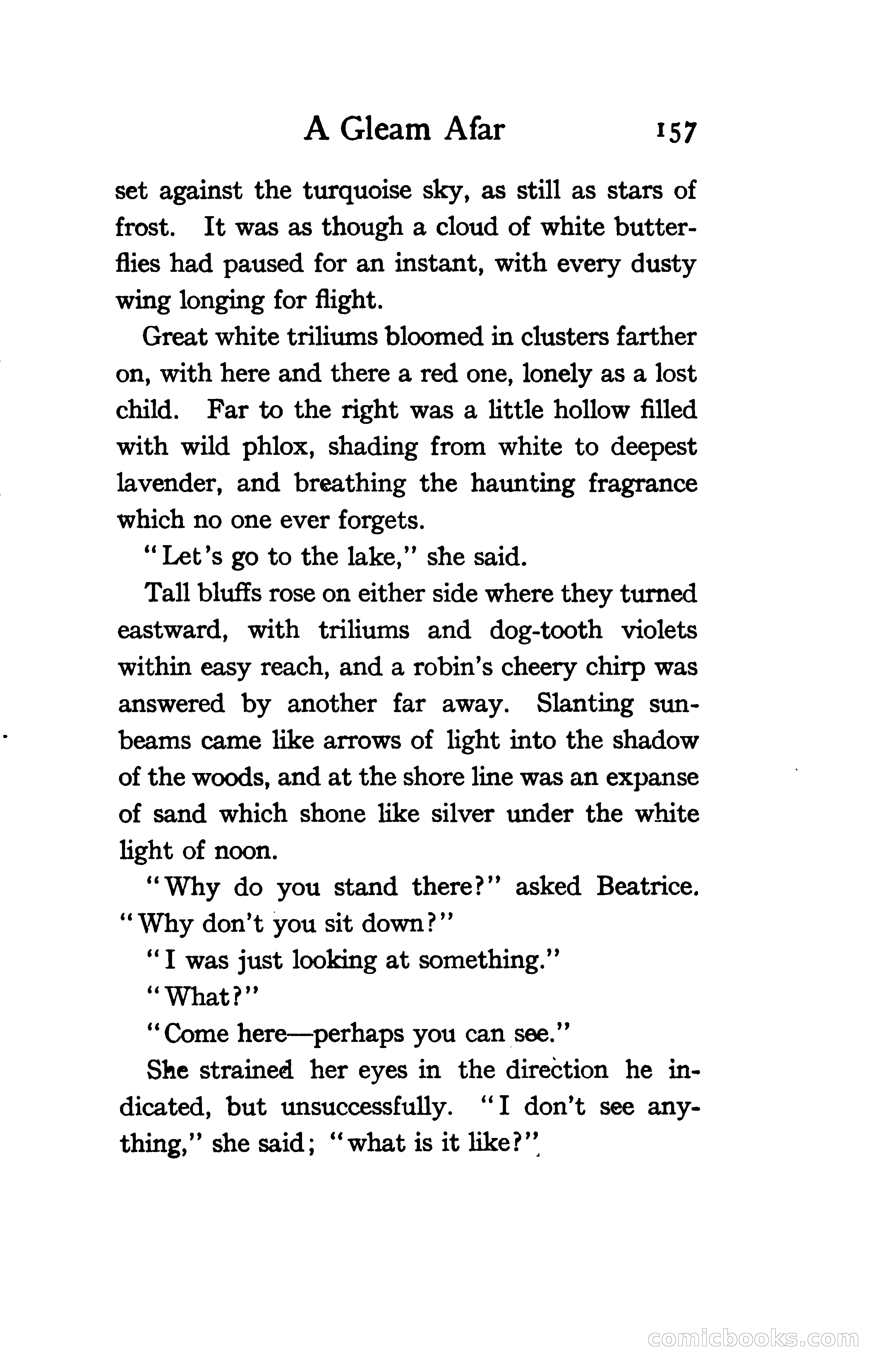 The Shadow of Victory: A Romance of Fort Dearborn — page 176 of 399