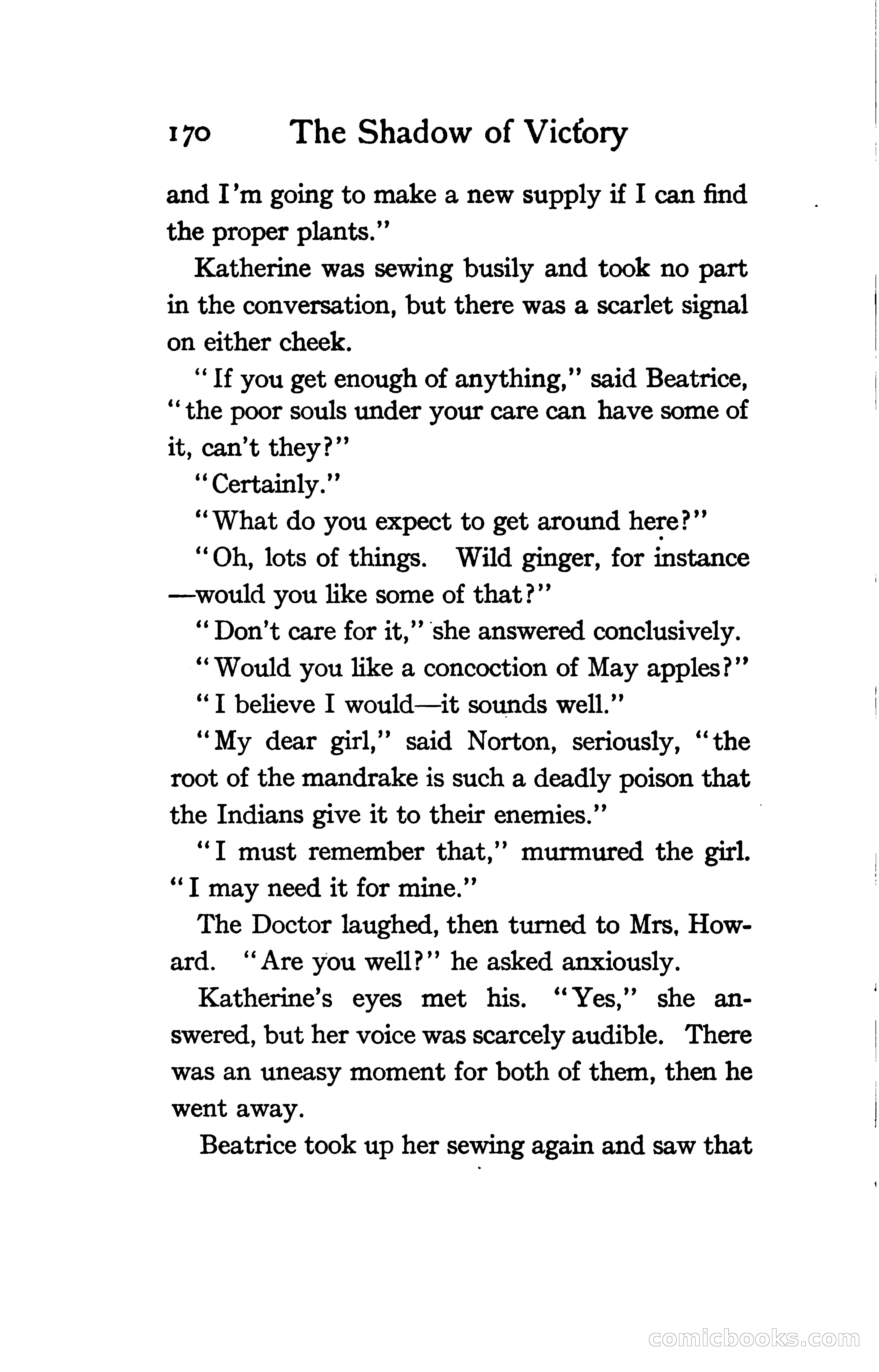 The Shadow of Victory: A Romance of Fort Dearborn — page 189 of 399