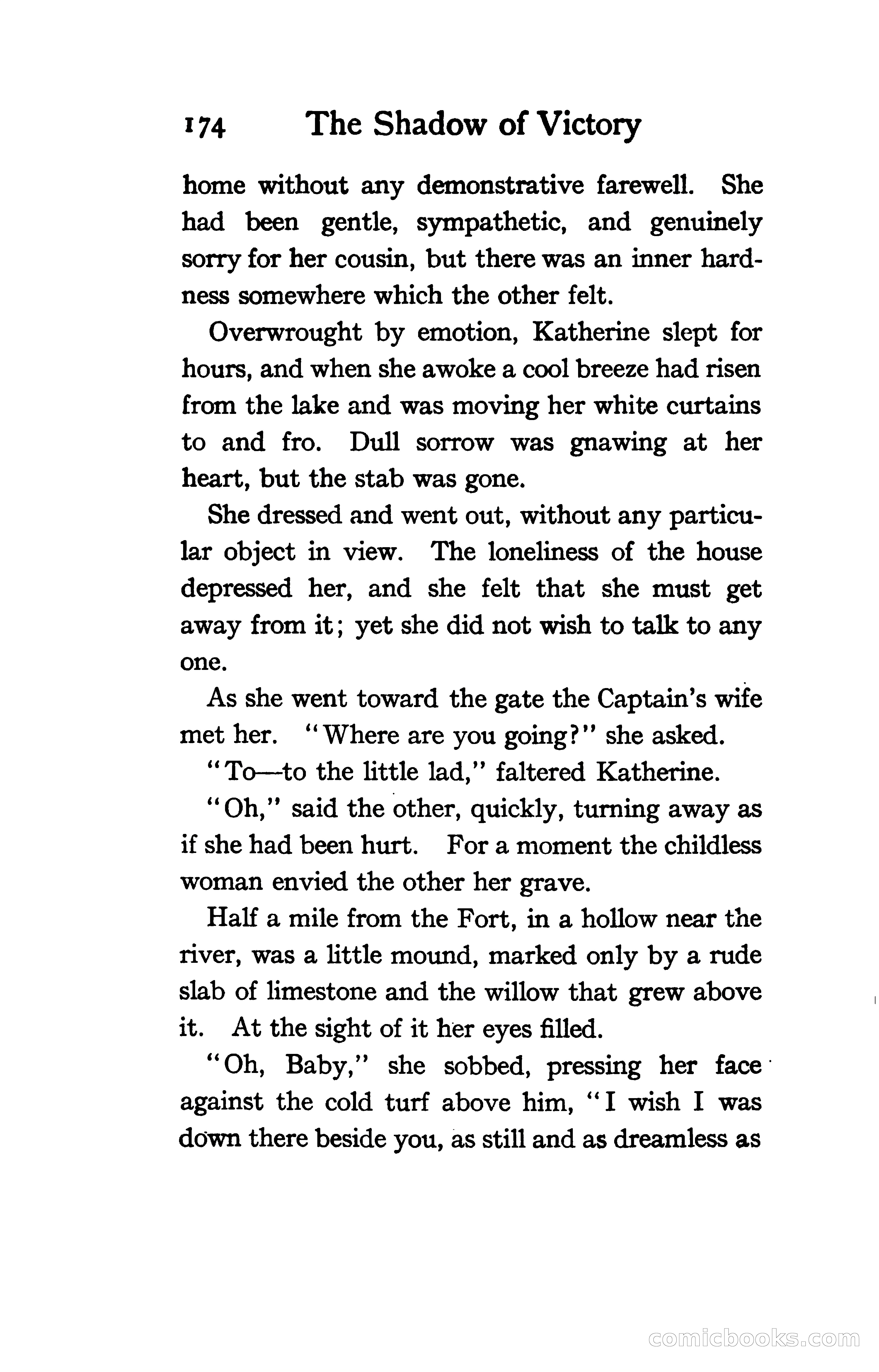 The Shadow of Victory: A Romance of Fort Dearborn — page 193 of 399