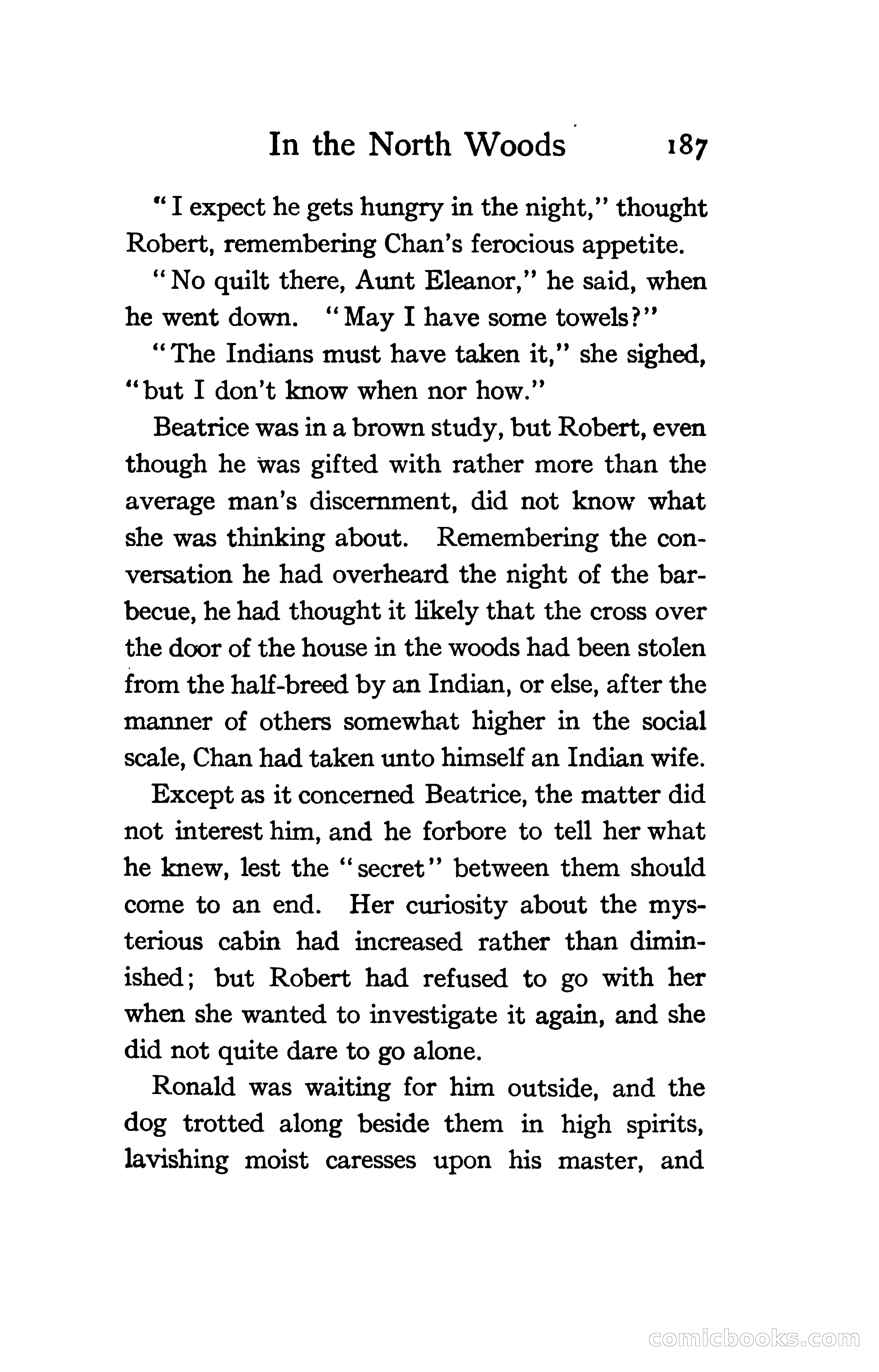 The Shadow of Victory: A Romance of Fort Dearborn — page 206 of 399