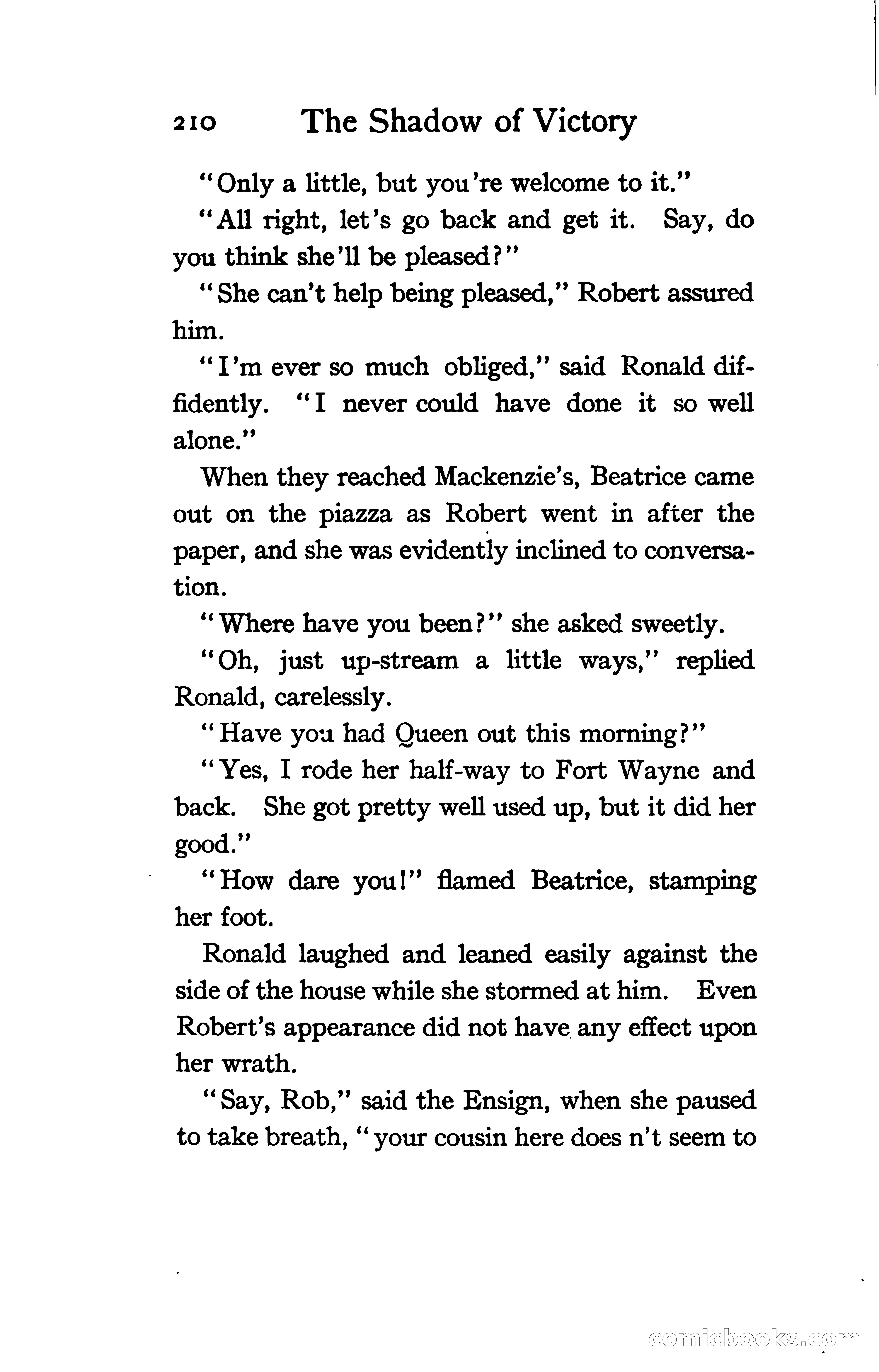 The Shadow of Victory: A Romance of Fort Dearborn — page 229 of 399
