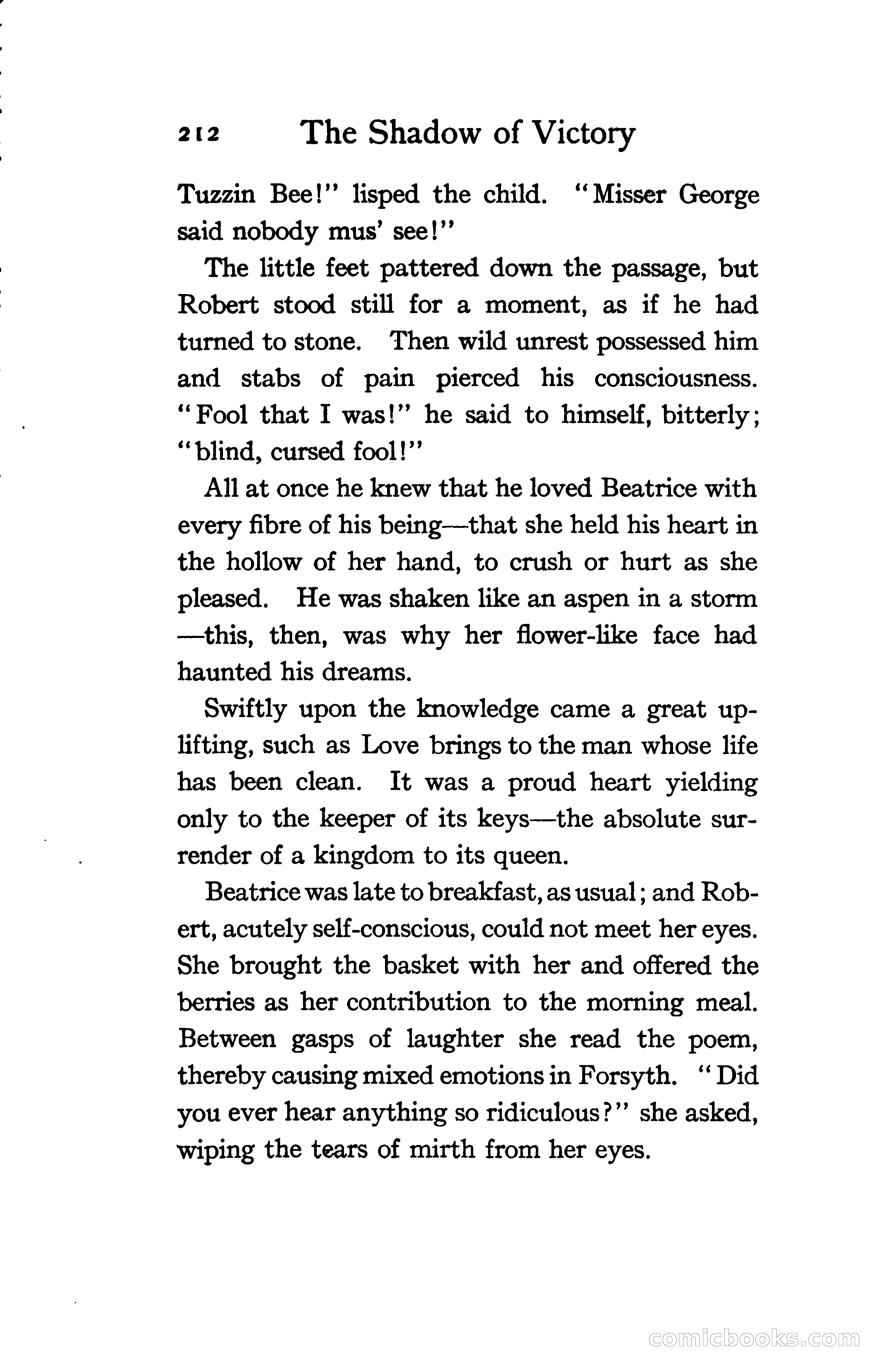 The Shadow of Victory: A Romance of Fort Dearborn — page 231 of 399